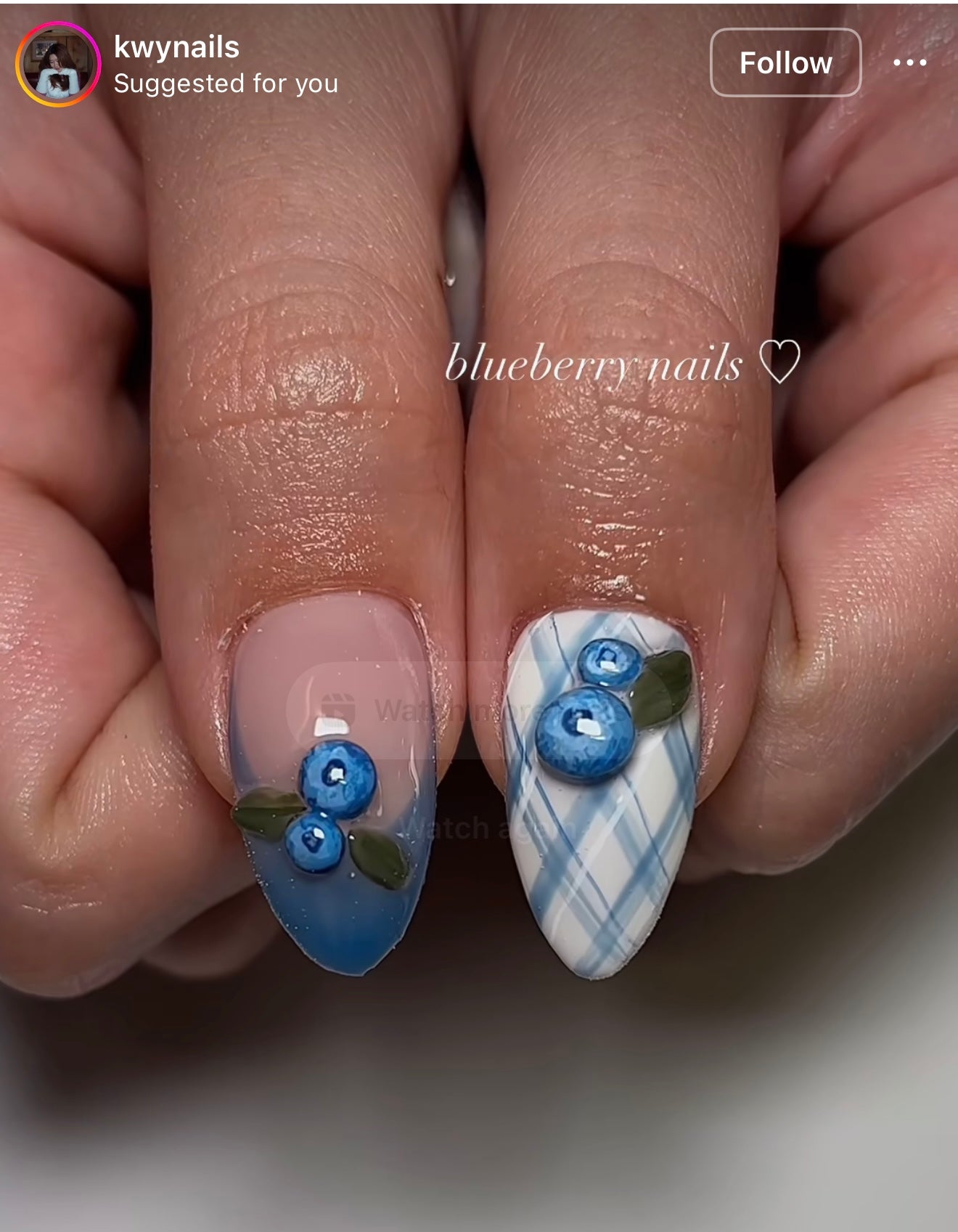 Blueberry Cupcake - Copy and Paste Inspo Set