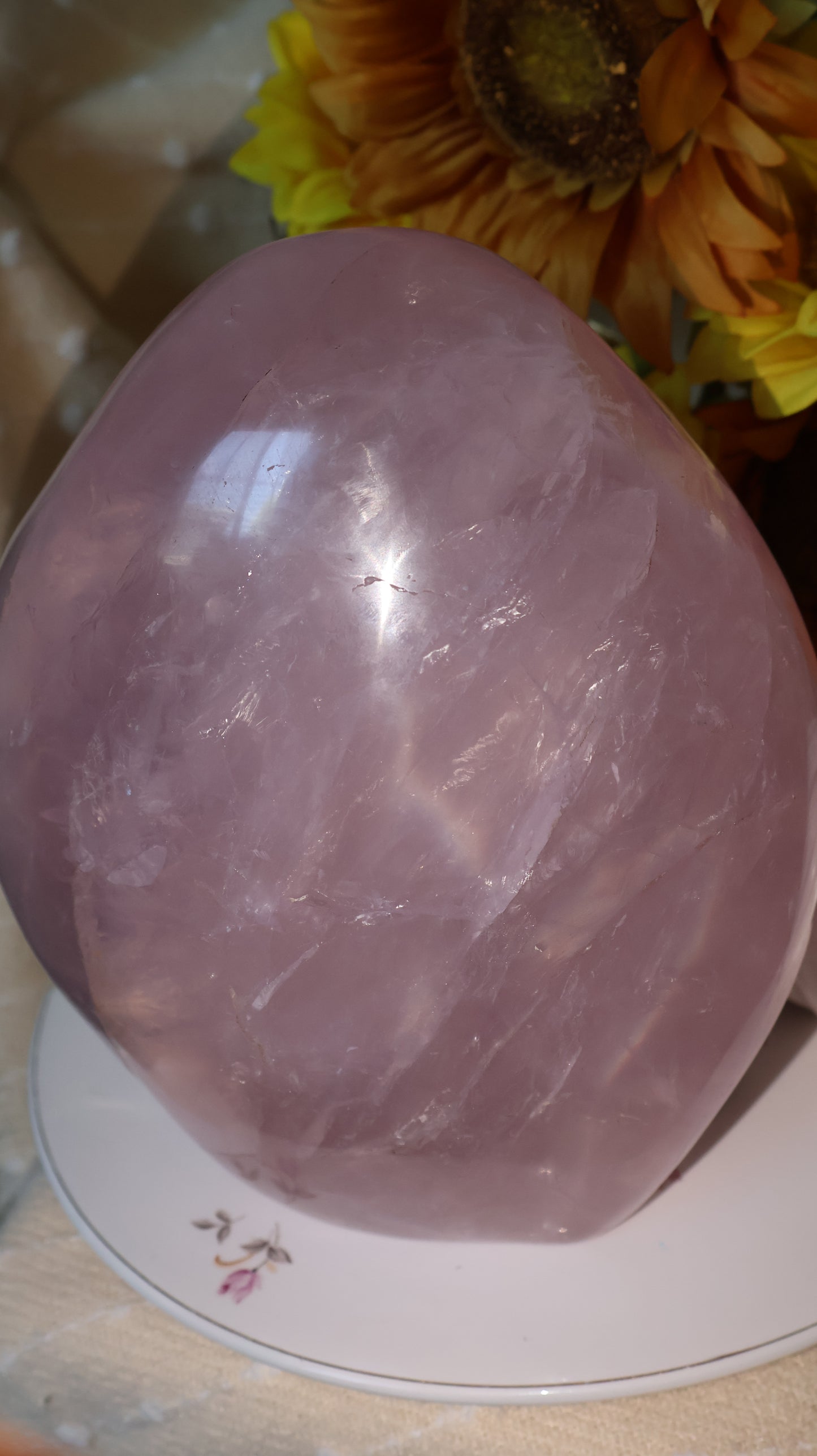 ✨Statement✨ 15lb Silver Asterism Lavender Star Rose Quartz Freeform