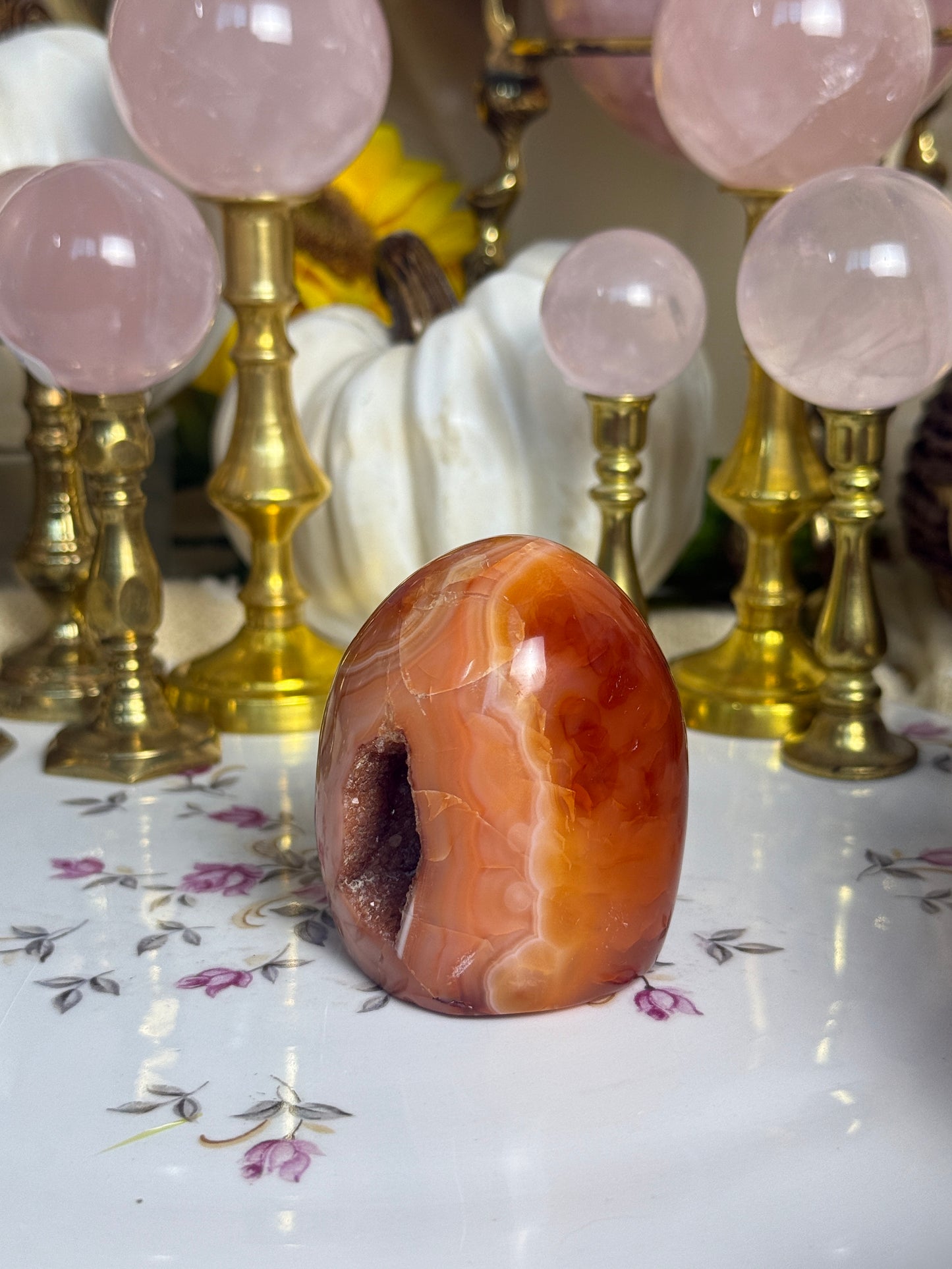 Coral Pink Banded Agave Cave Carnelian Freeform