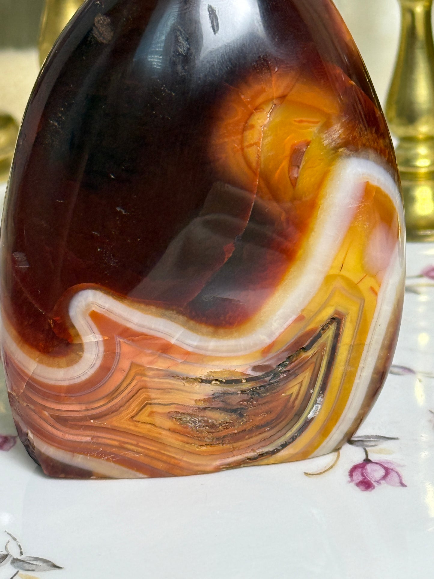 Chocolate Burgundy Duo Toned Carnelian Freeform