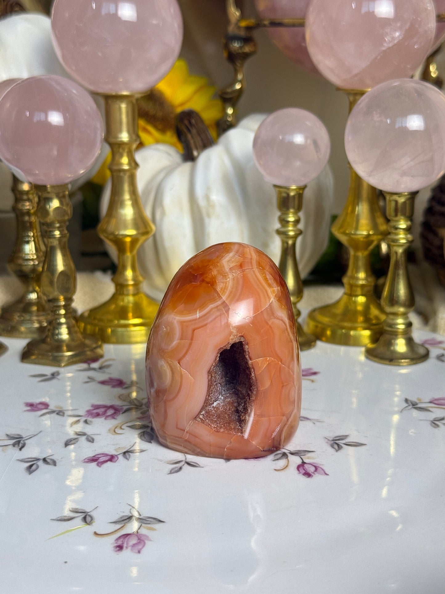 Coral Pink Banded Agave Cave Carnelian Freeform