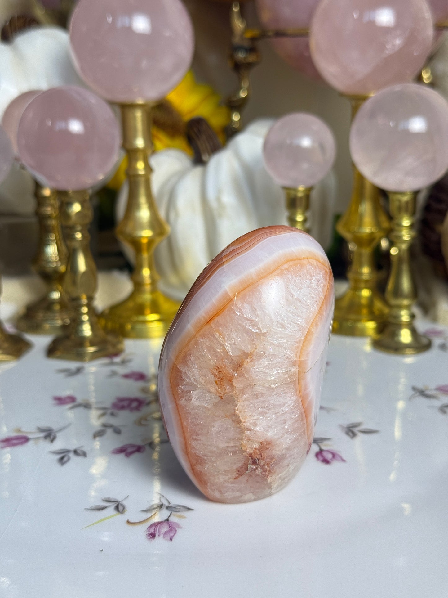 Gorgeous White Coral Banded Carnelian Freeform