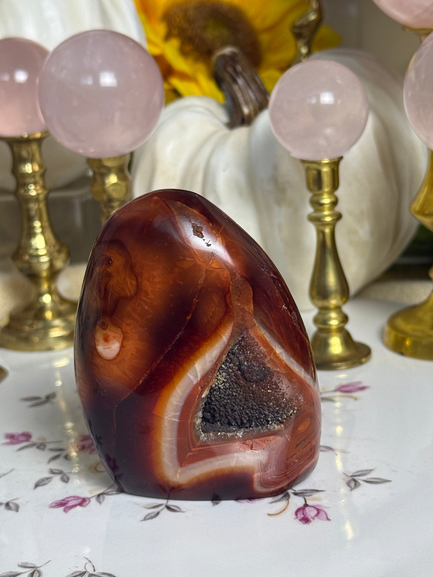 Chocolate Burgundy Duo Toned Carnelian Freeform
