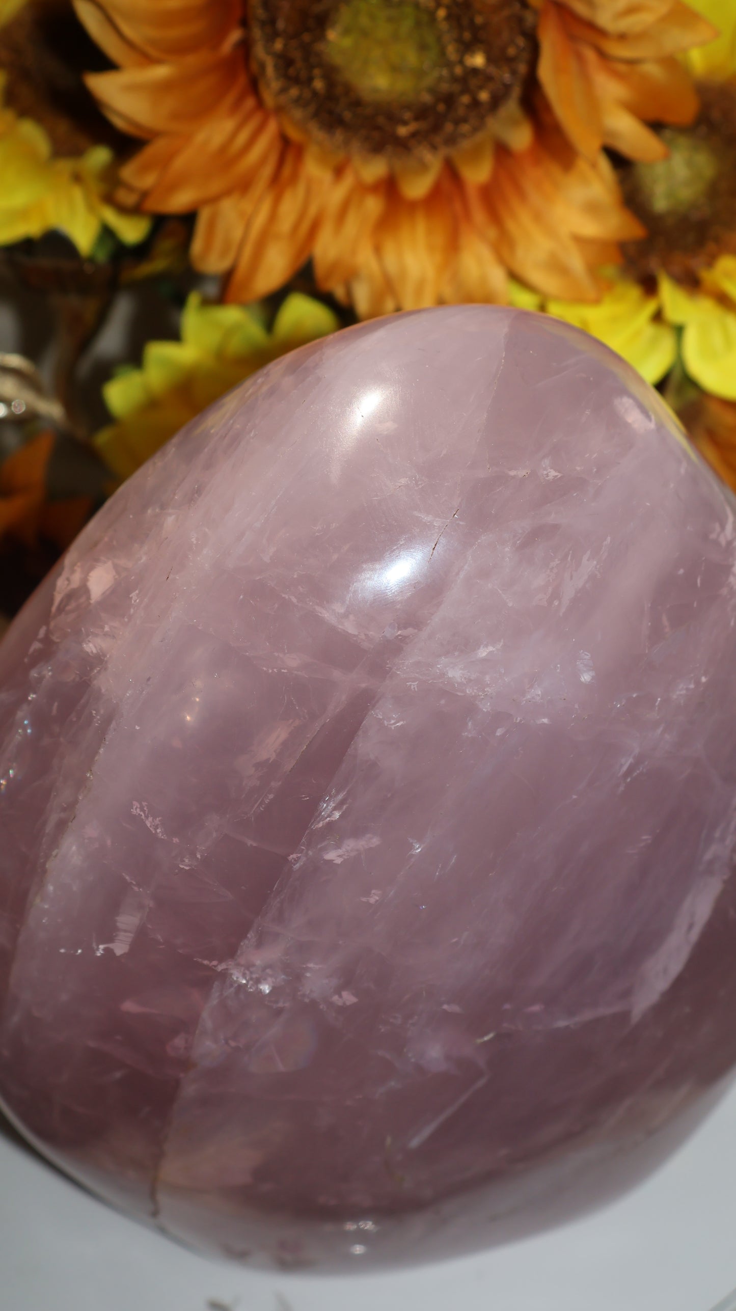 ✨Statement✨ 15lb Silver Asterism Lavender Star Rose Quartz Freeform