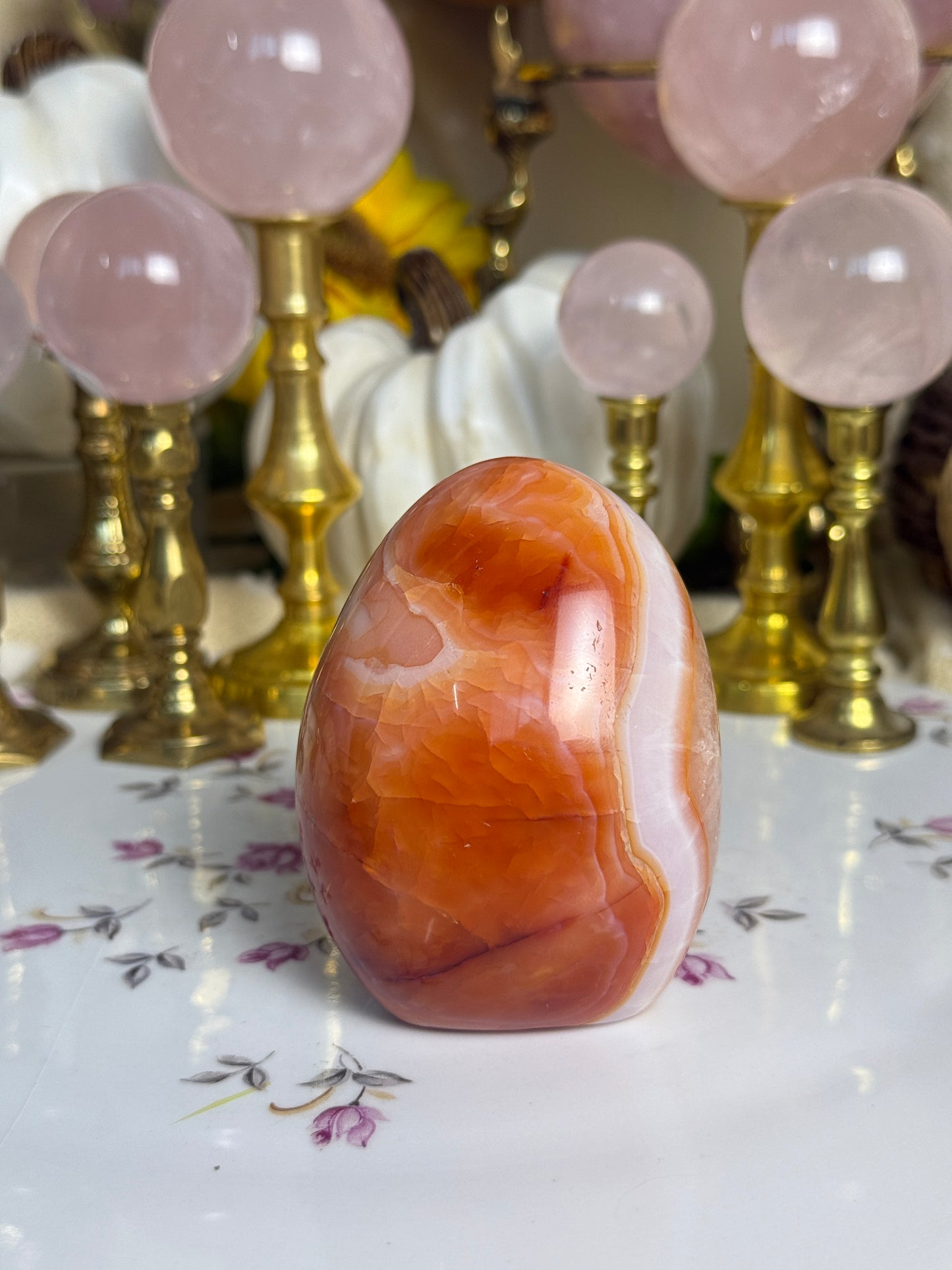 Gorgeous White Coral Banded Carnelian Freeform