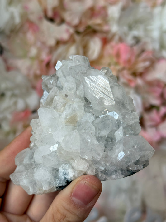 Diamond Apothyllite Speciman F💎✨