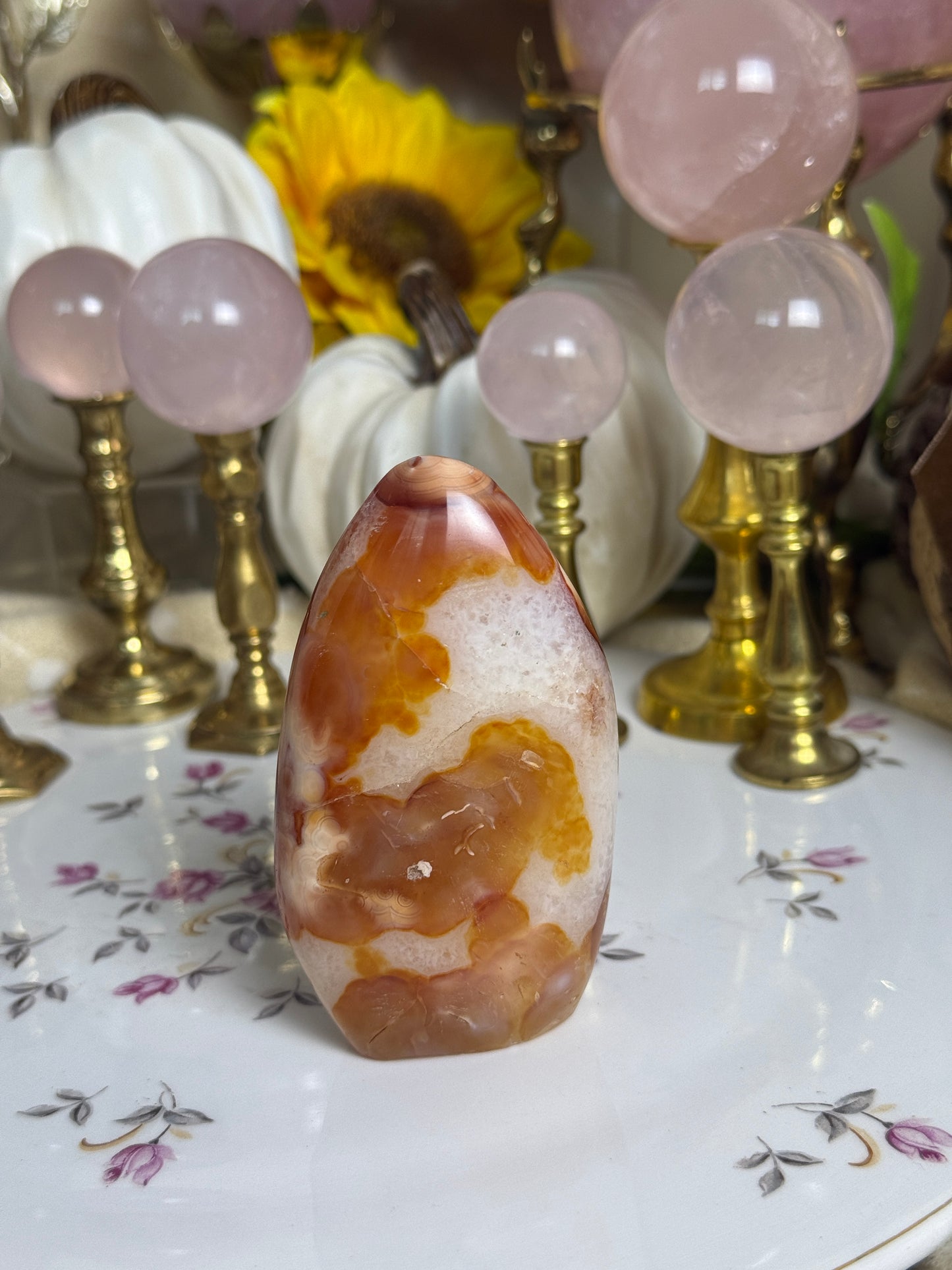 Koi Fish Duo Toned Carnelian Freeform