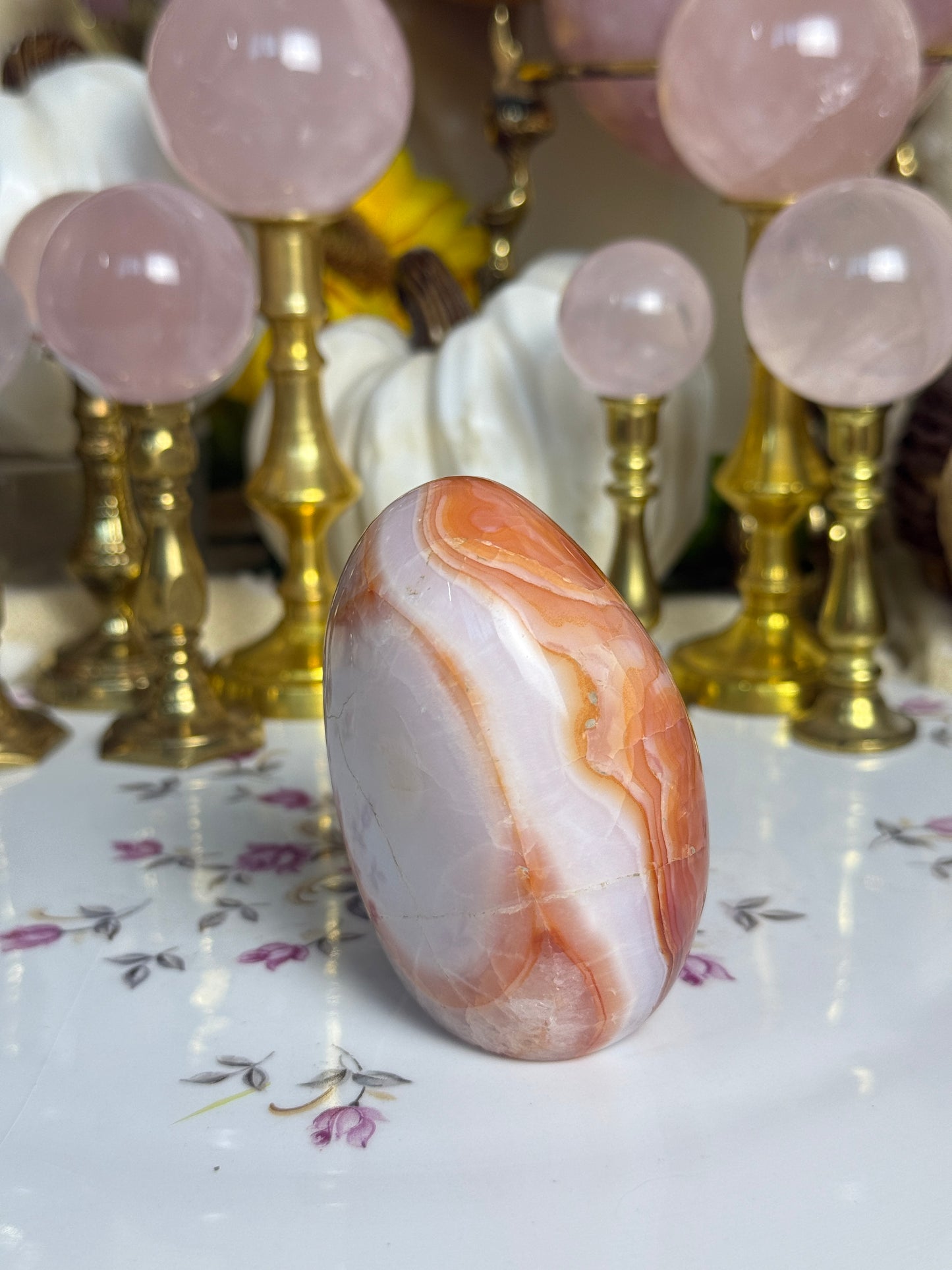 Gorgeous White Coral Banded Carnelian Freeform