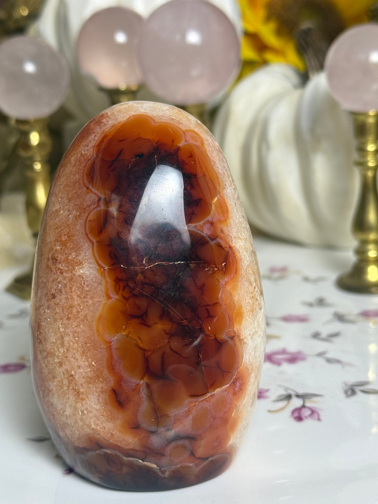 Quartz Agate Banded Carnelian Freeform