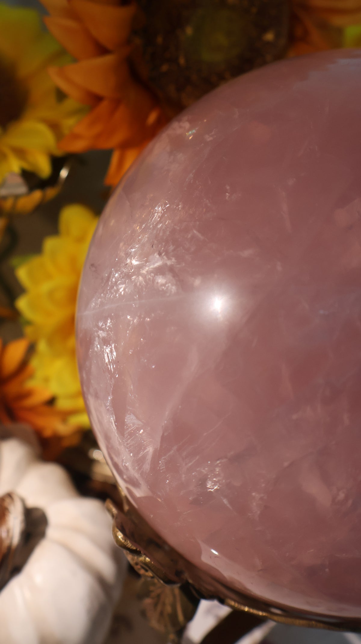✨Statement✨ 15lb Golden Asterism, Duo-Toned Rutile Filled Star Rose Quartz Sphere