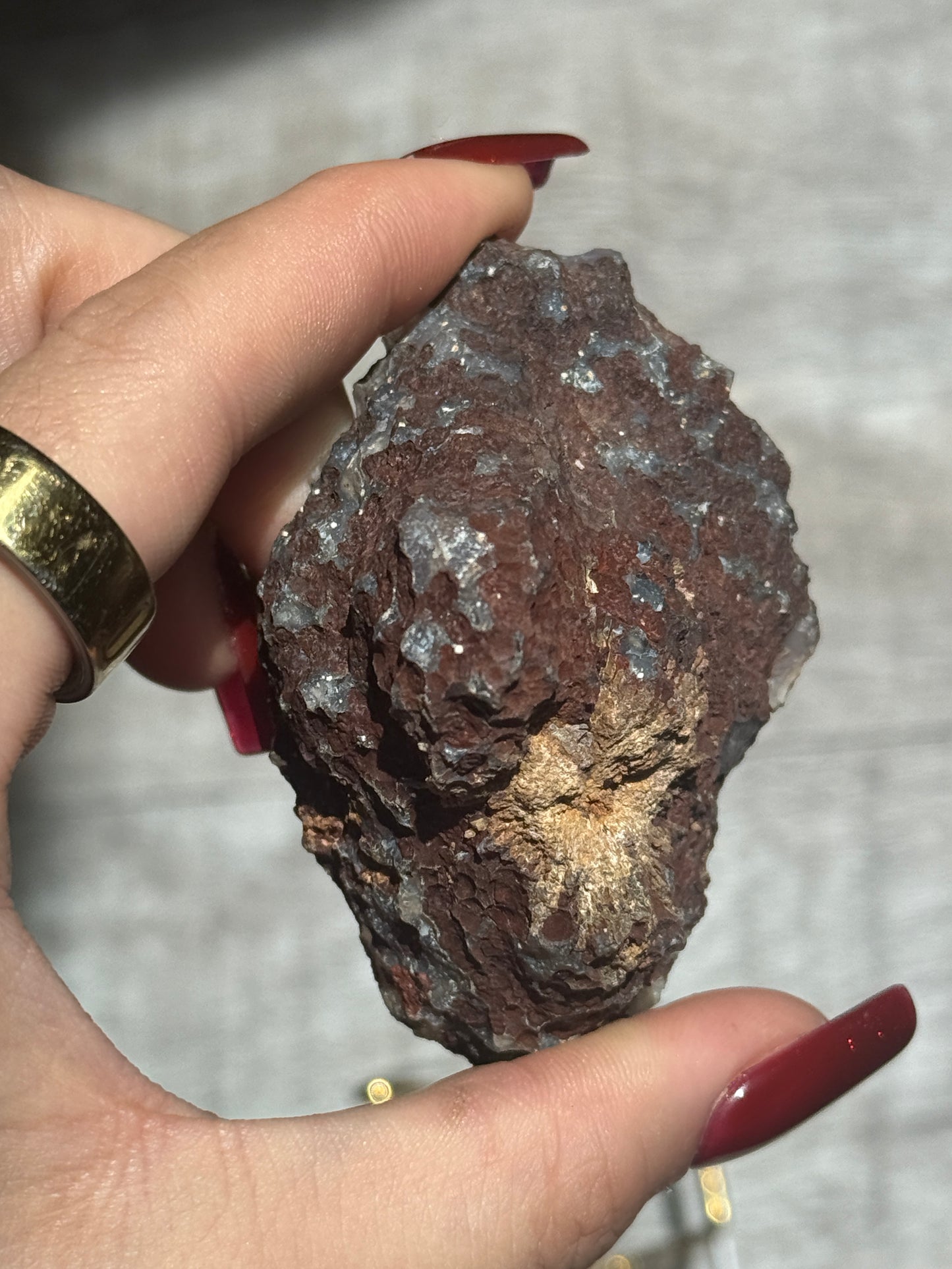 Rare Polymorphous Cayomito Agate ✨🎀