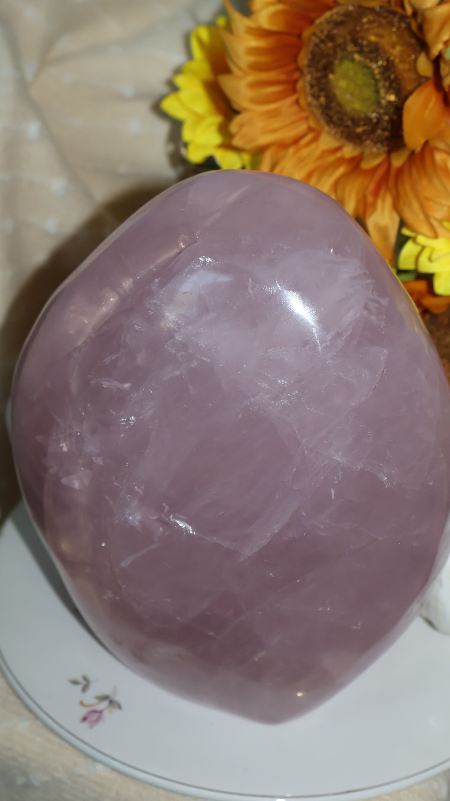 ✨Statement✨ 15lb Silver Asterism Lavender Star Rose Quartz Freeform