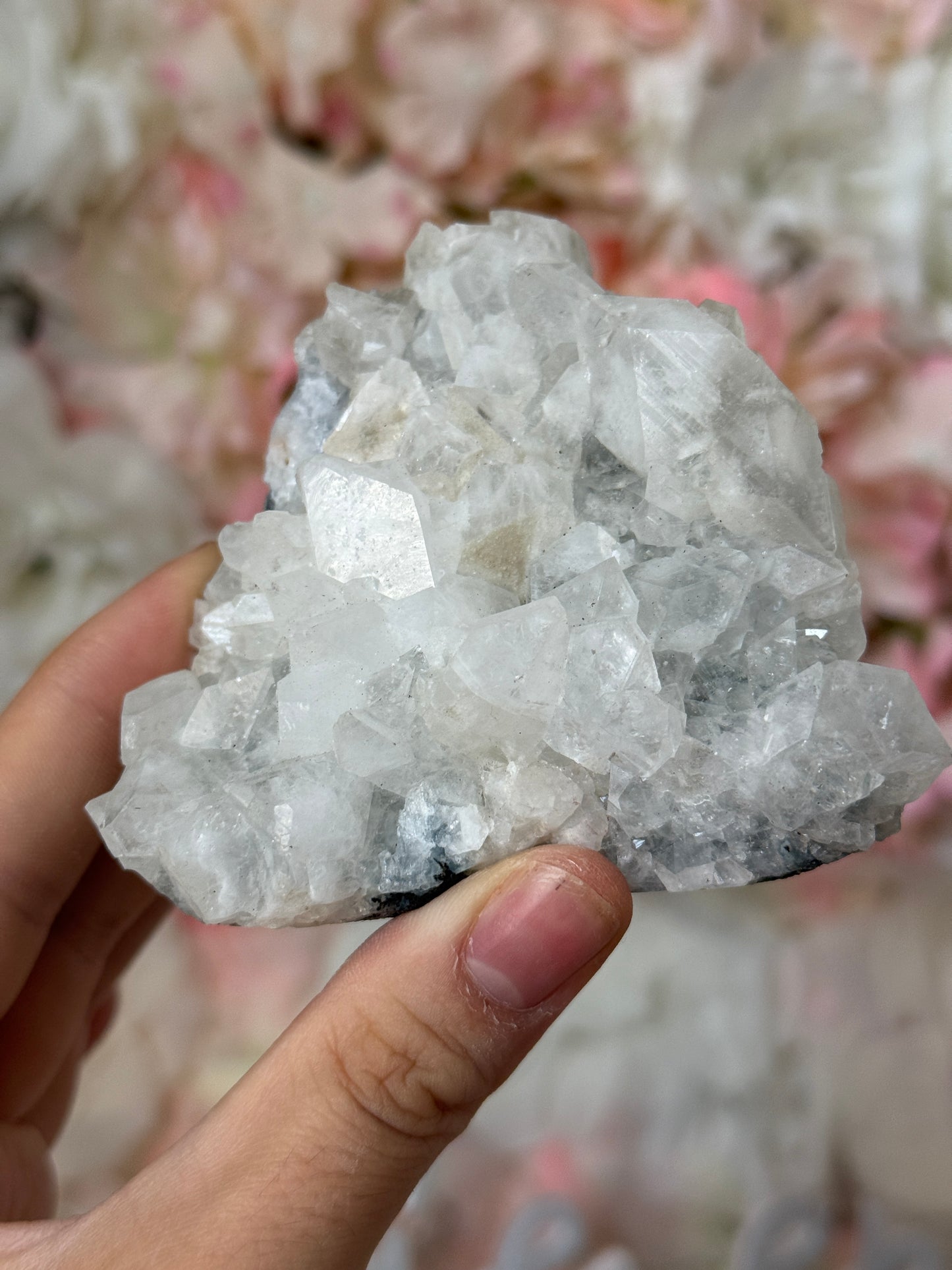 Diamond Apothyllite Speciman F💎✨