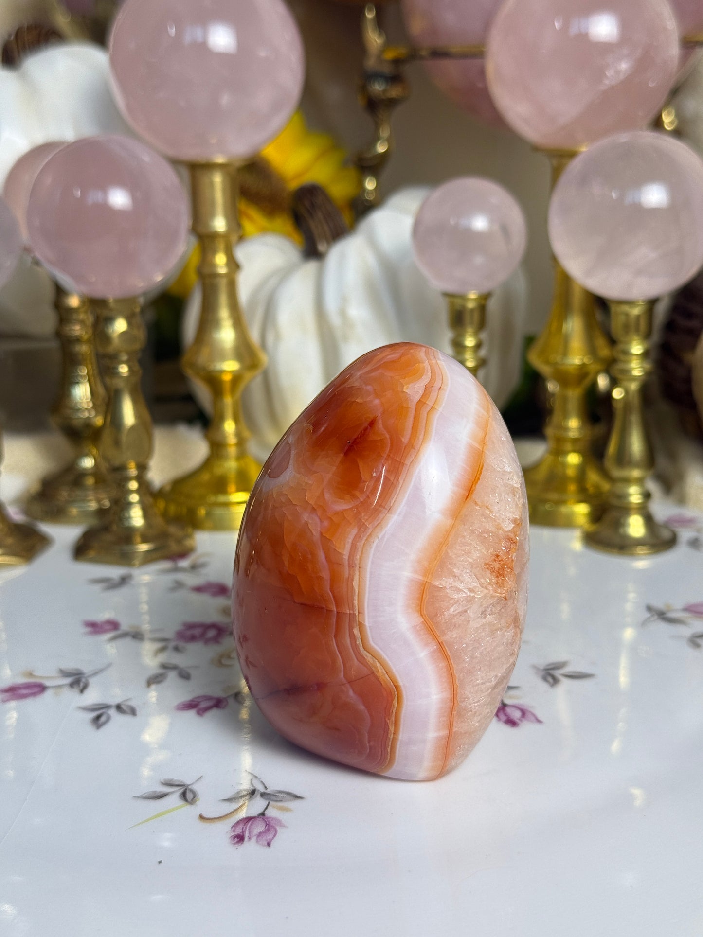 Gorgeous White Coral Banded Carnelian Freeform