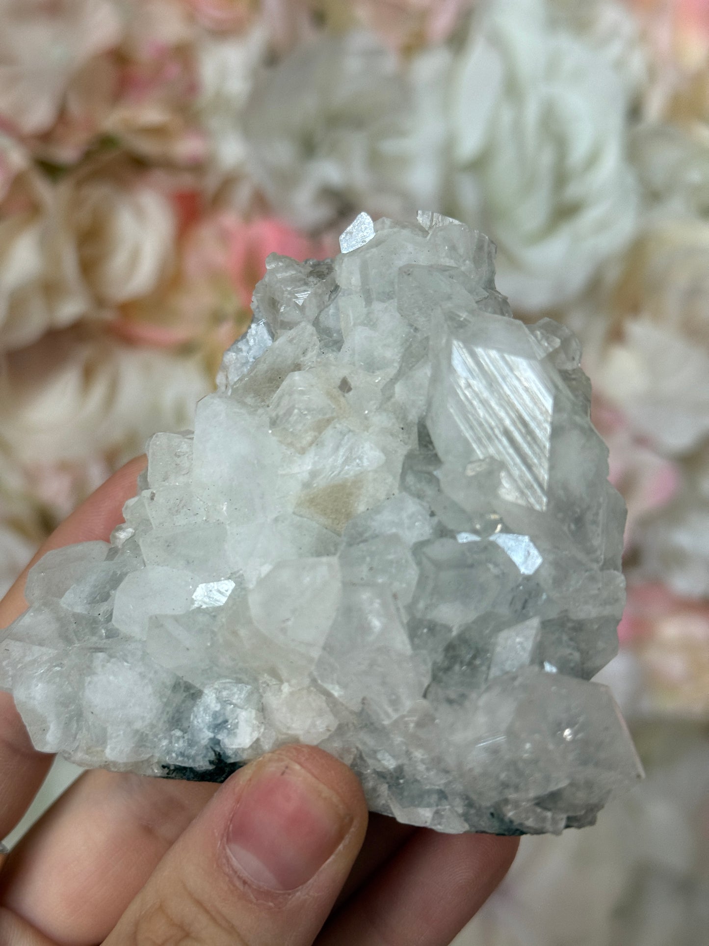 Diamond Apothyllite Speciman F💎✨