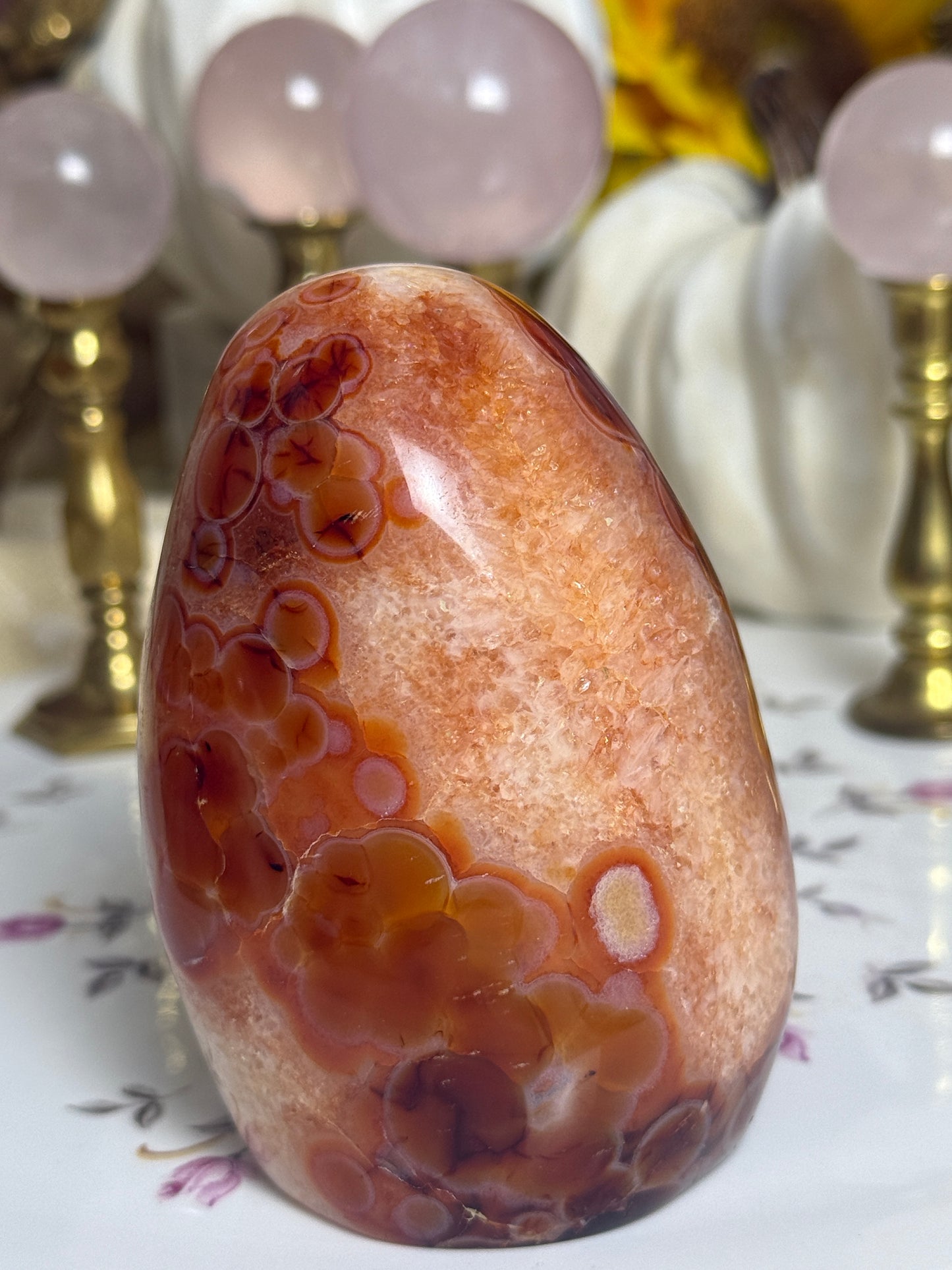 Quartz Agate Banded Carnelian Freeform
