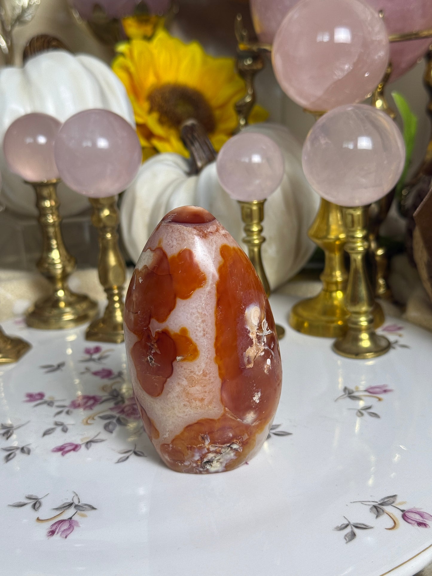 Koi Fish Duo Toned Carnelian Freeform