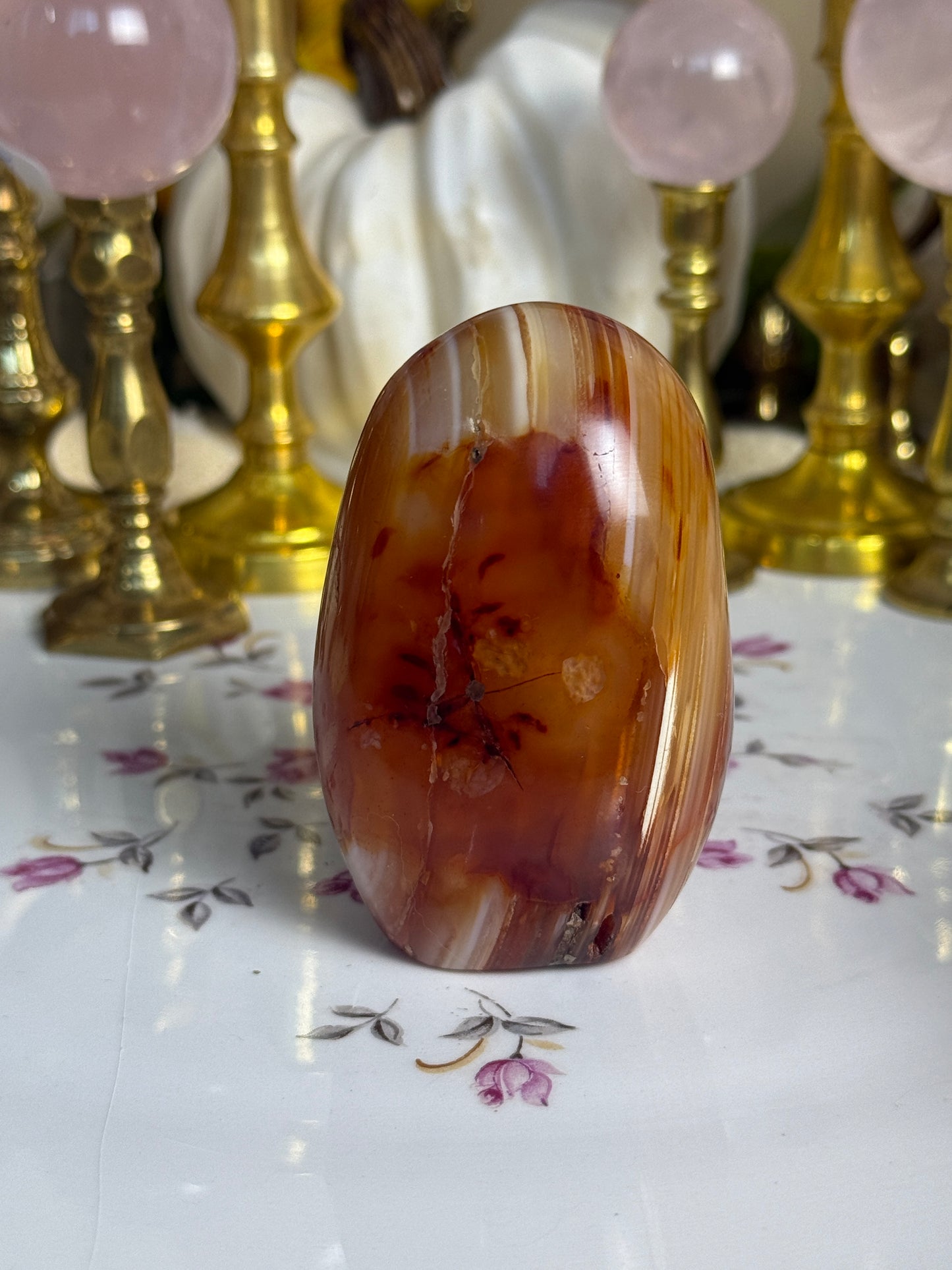 Caramel Mahogany Banded Carnelian Freeform