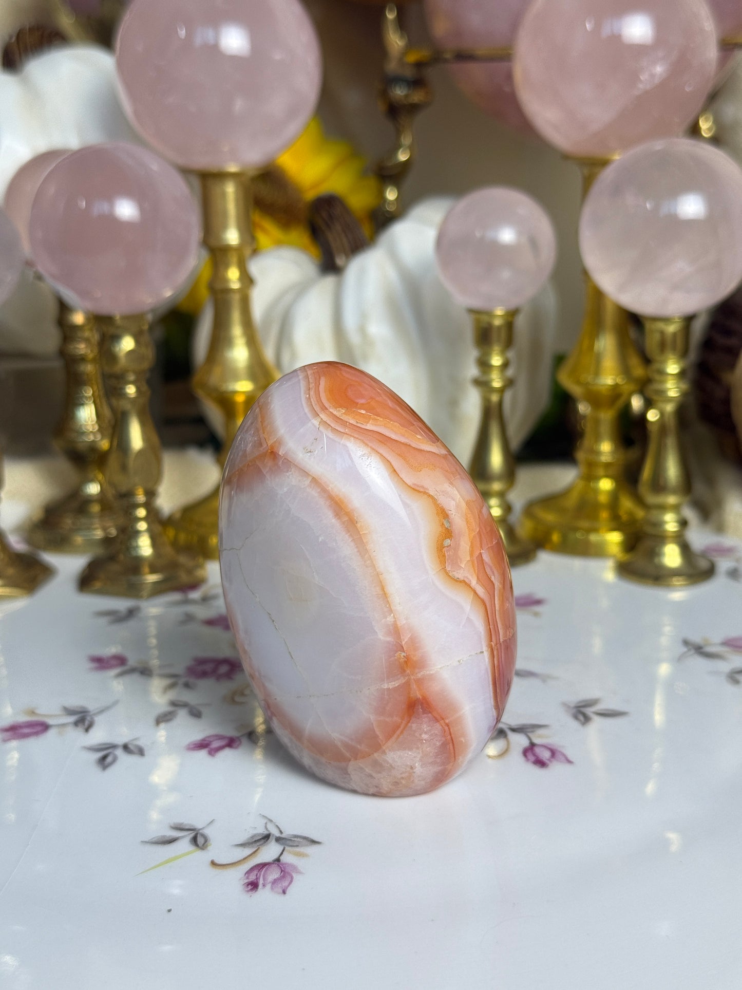 Gorgeous White Coral Banded Carnelian Freeform