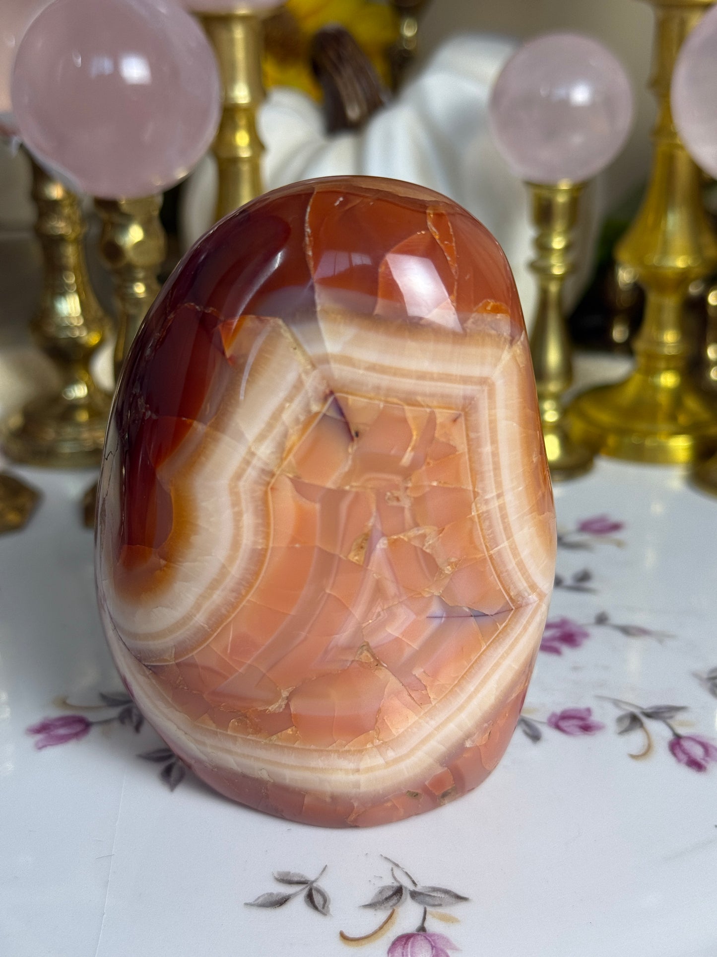 Peachy Banded Agate Carnelian Freeform