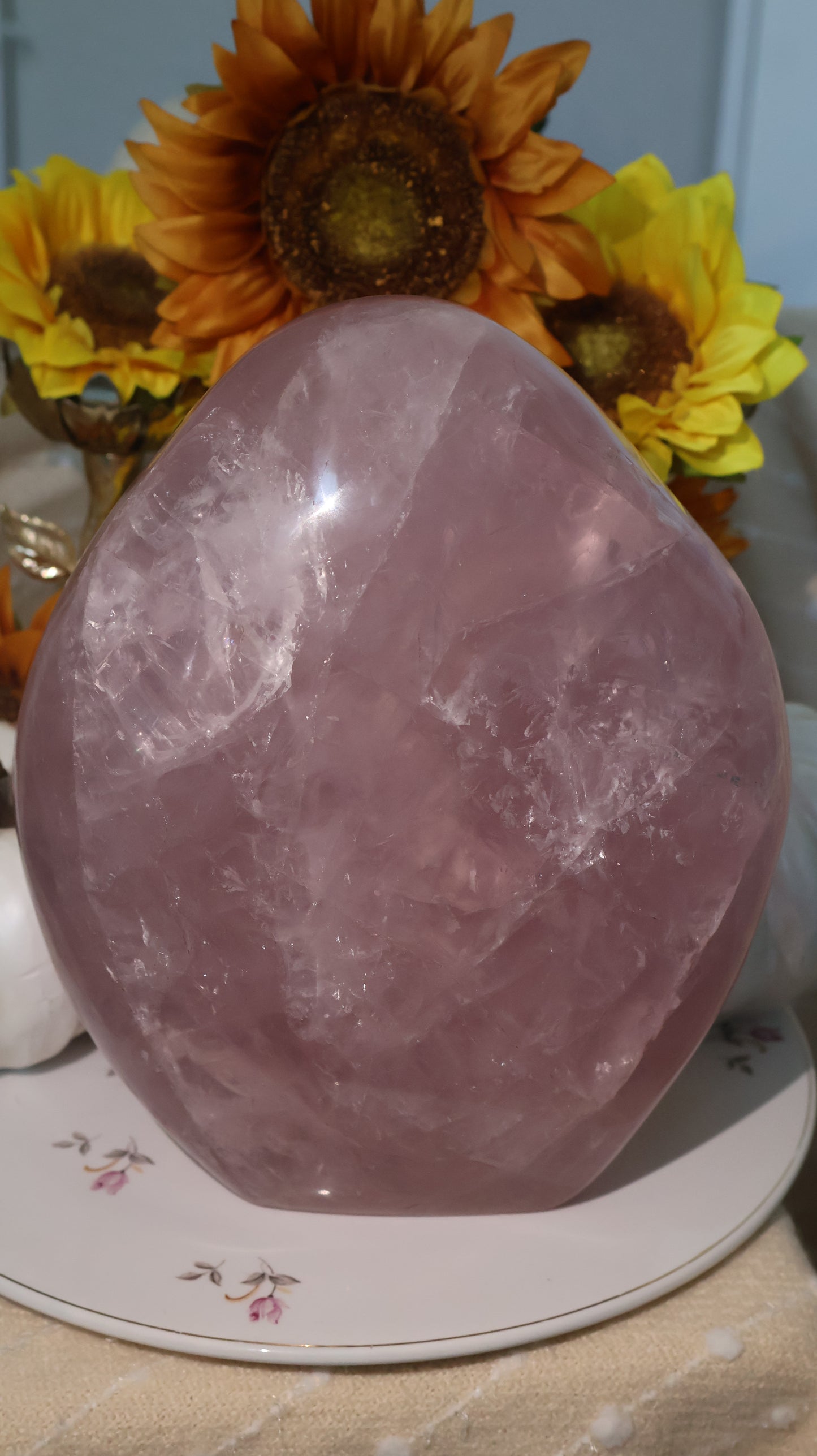 ✨Statement✨ 15lb Silver Asterism Lavender Star Rose Quartz Freeform