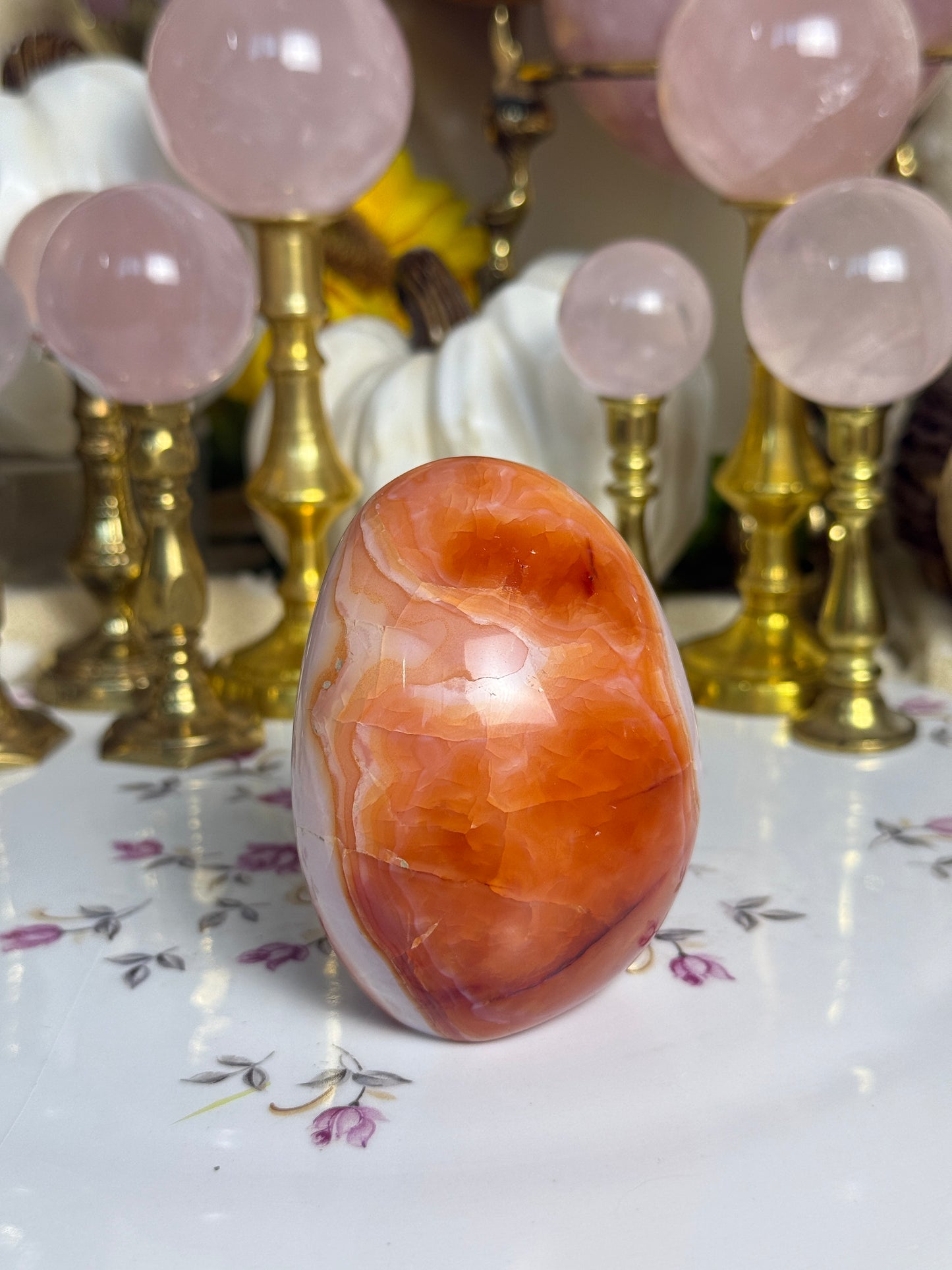 Gorgeous White Coral Banded Carnelian Freeform