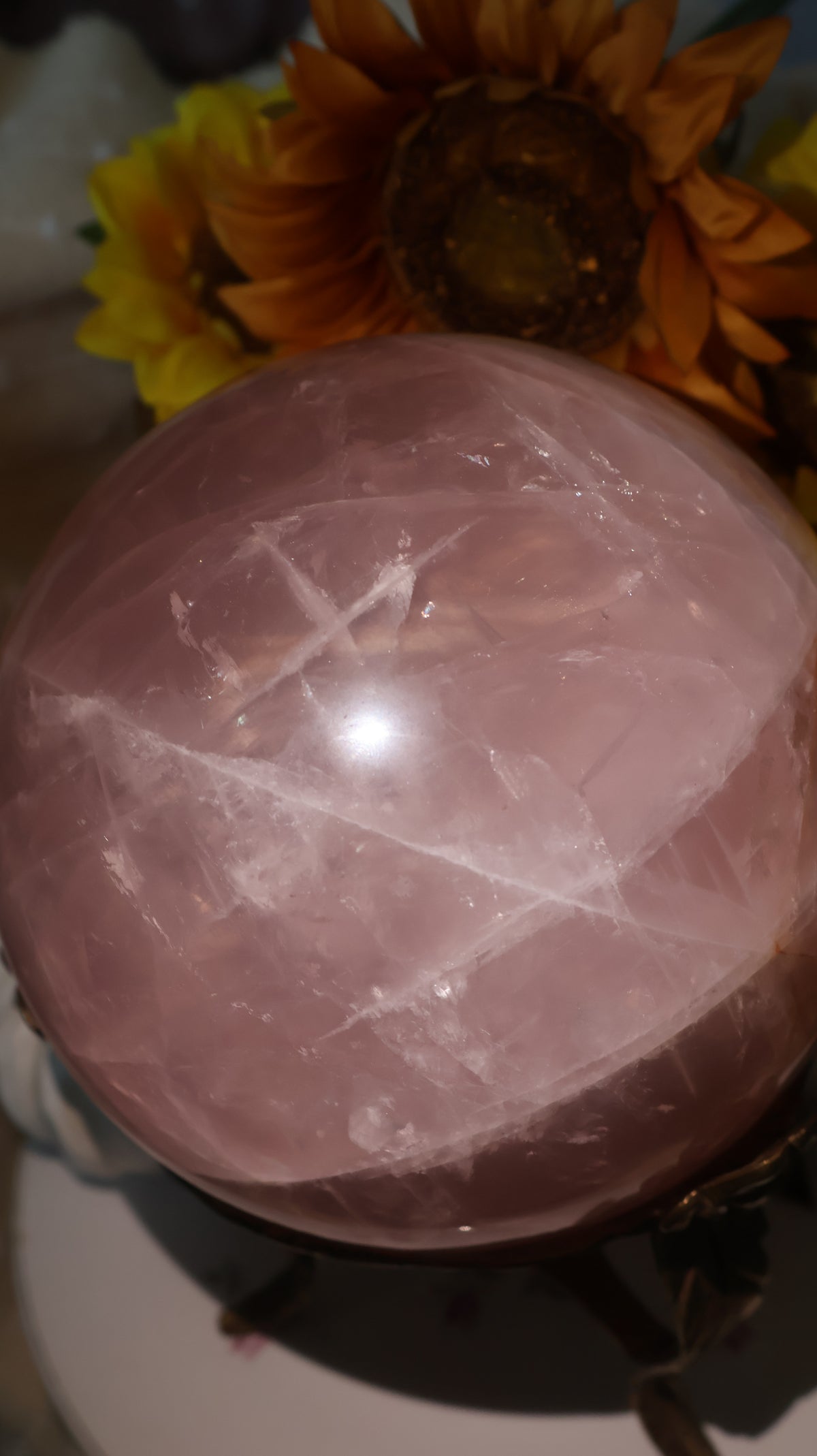 ✨Statement✨ 15lb Golden Asterism, Duo-Toned Rutile Filled Star Rose Quartz Sphere