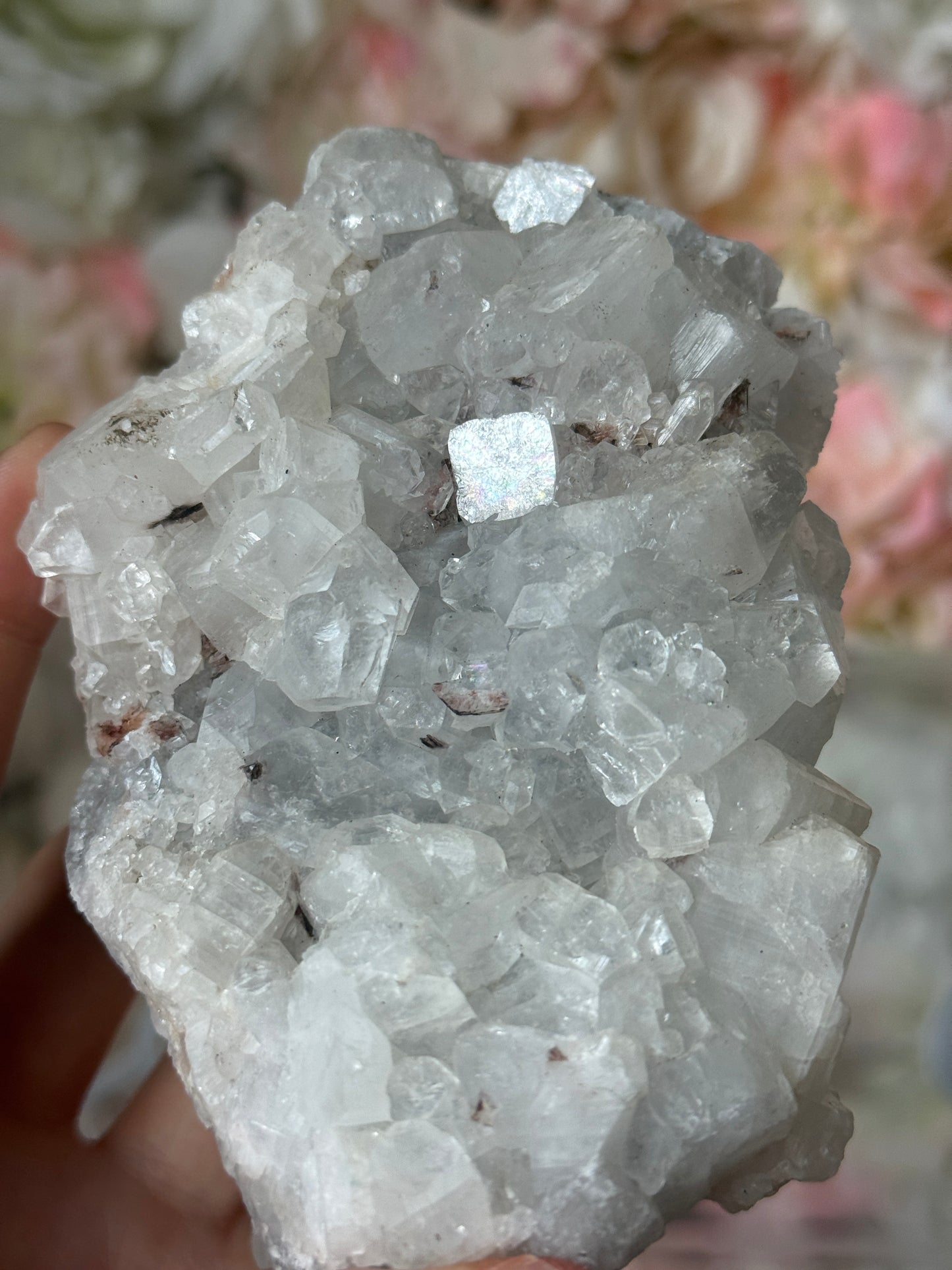 Diamond apothyllite specimen D 💎✨