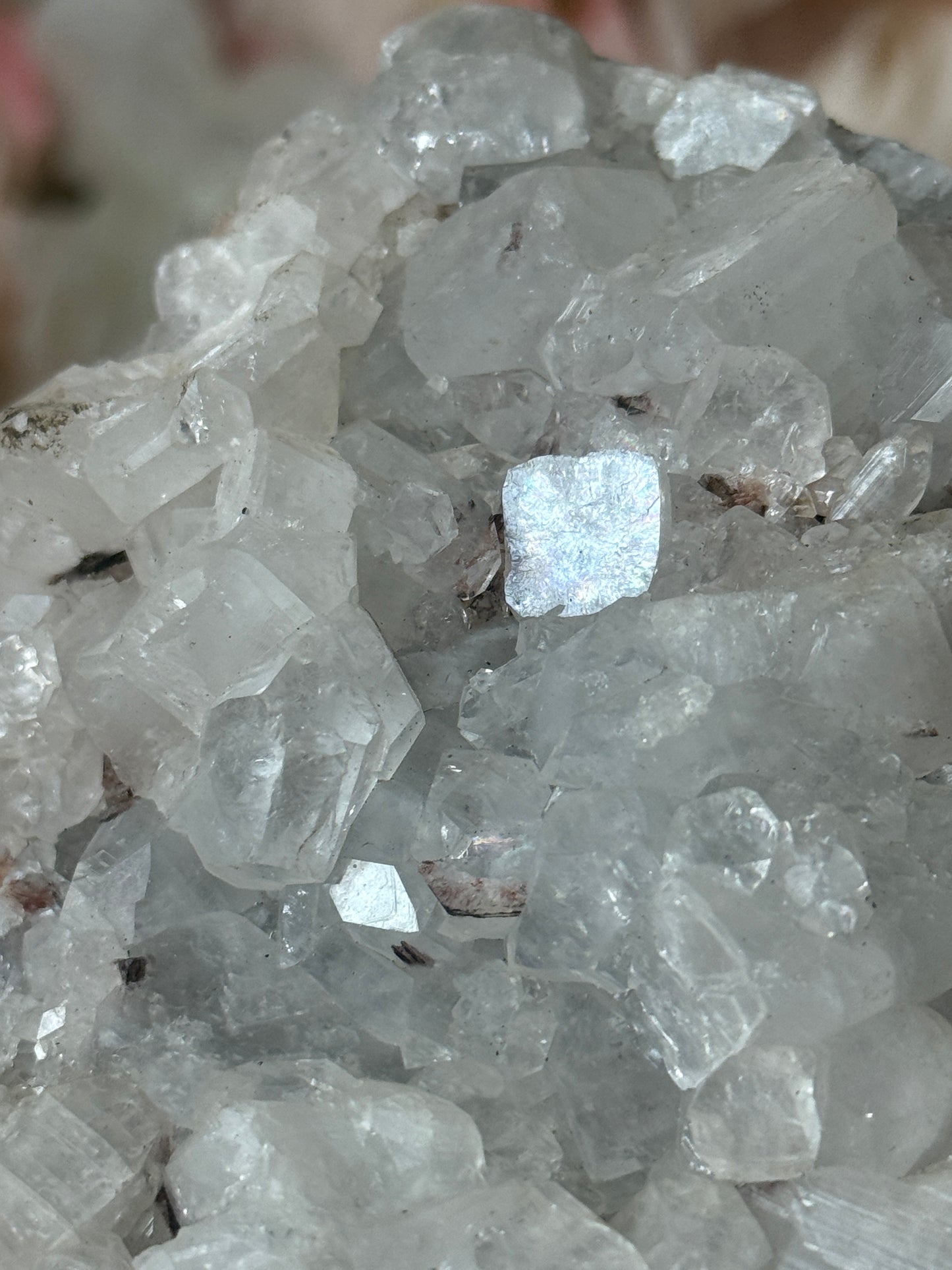 Diamond apothyllite specimen D 💎✨