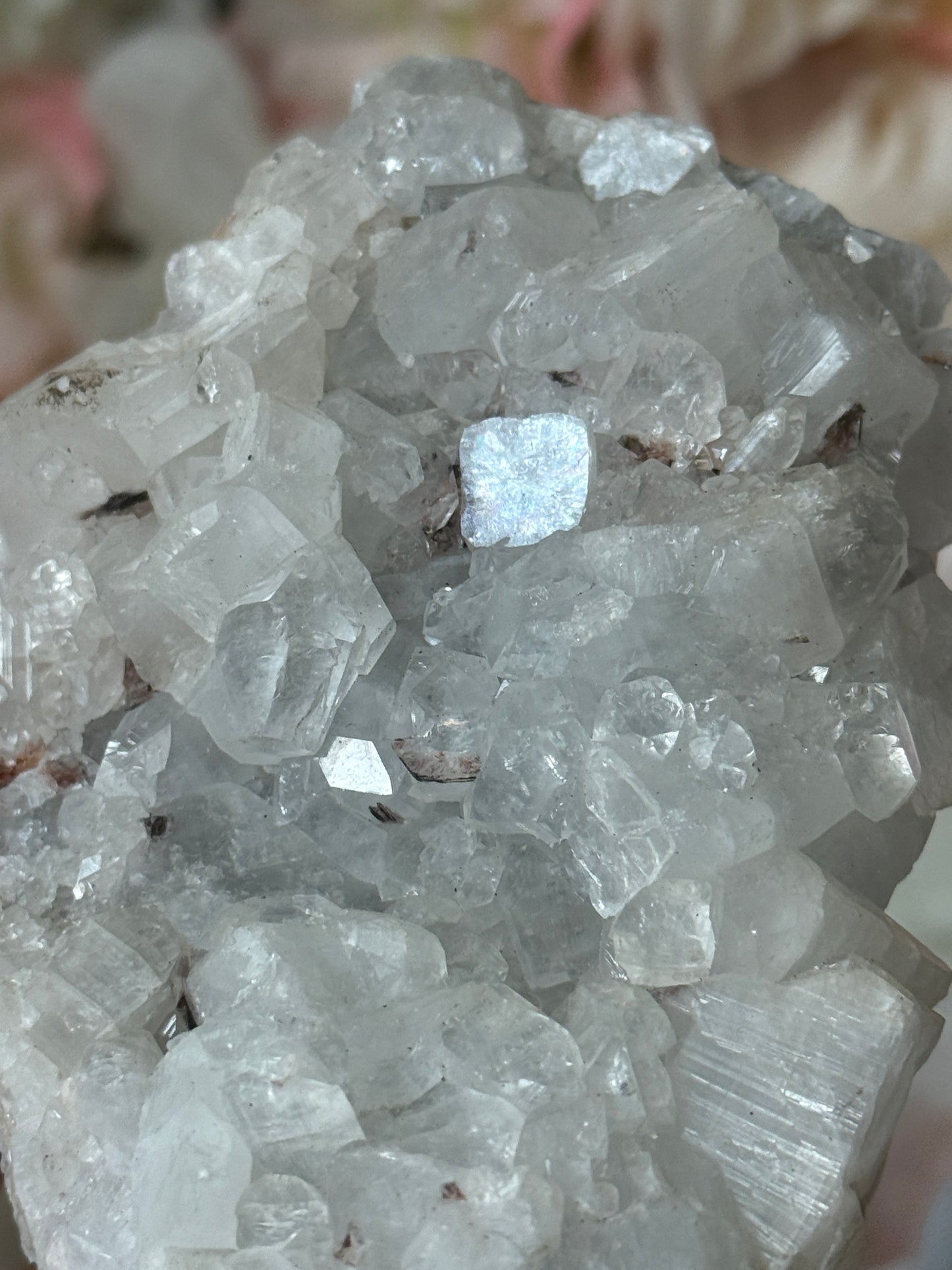 Diamond apothyllite specimen D 💎✨