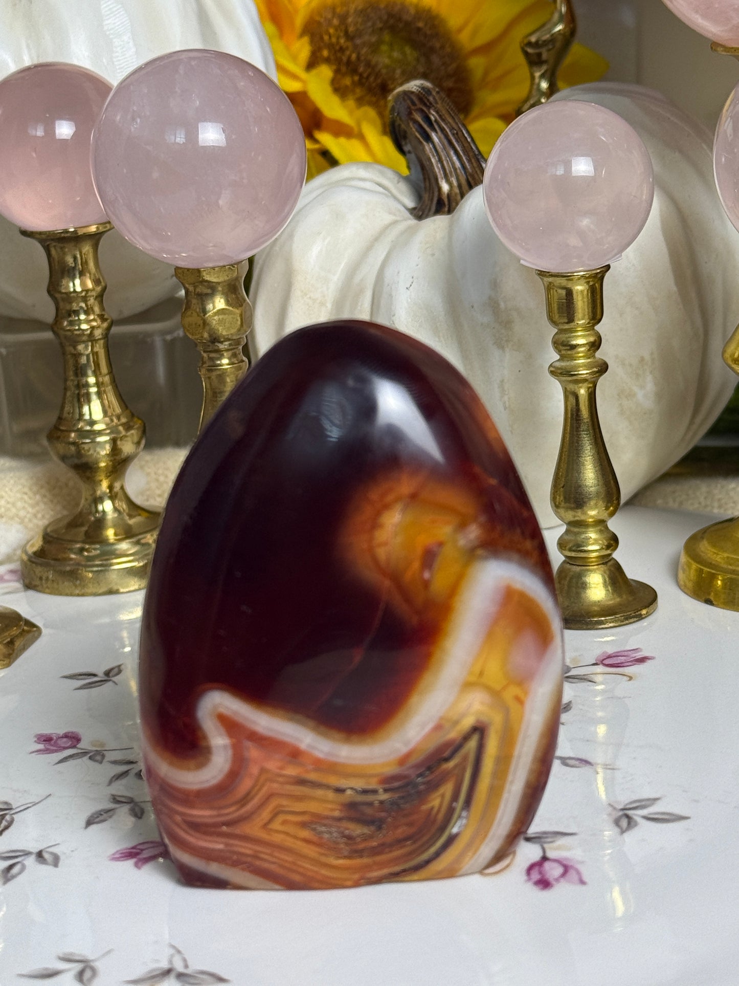 Chocolate Burgundy Duo Toned Carnelian Freeform