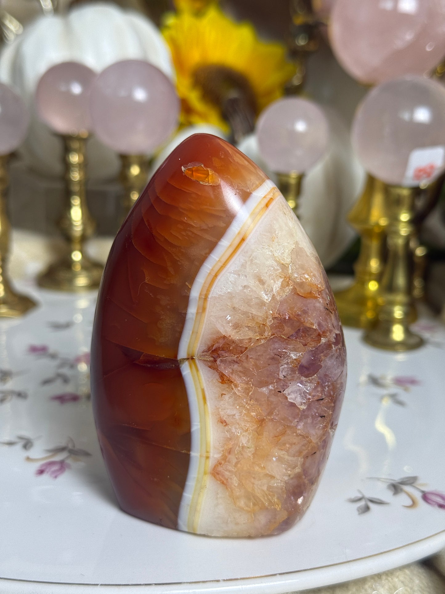 Gorgeous One of a Kind Amethyst Included Carnelian Freeform