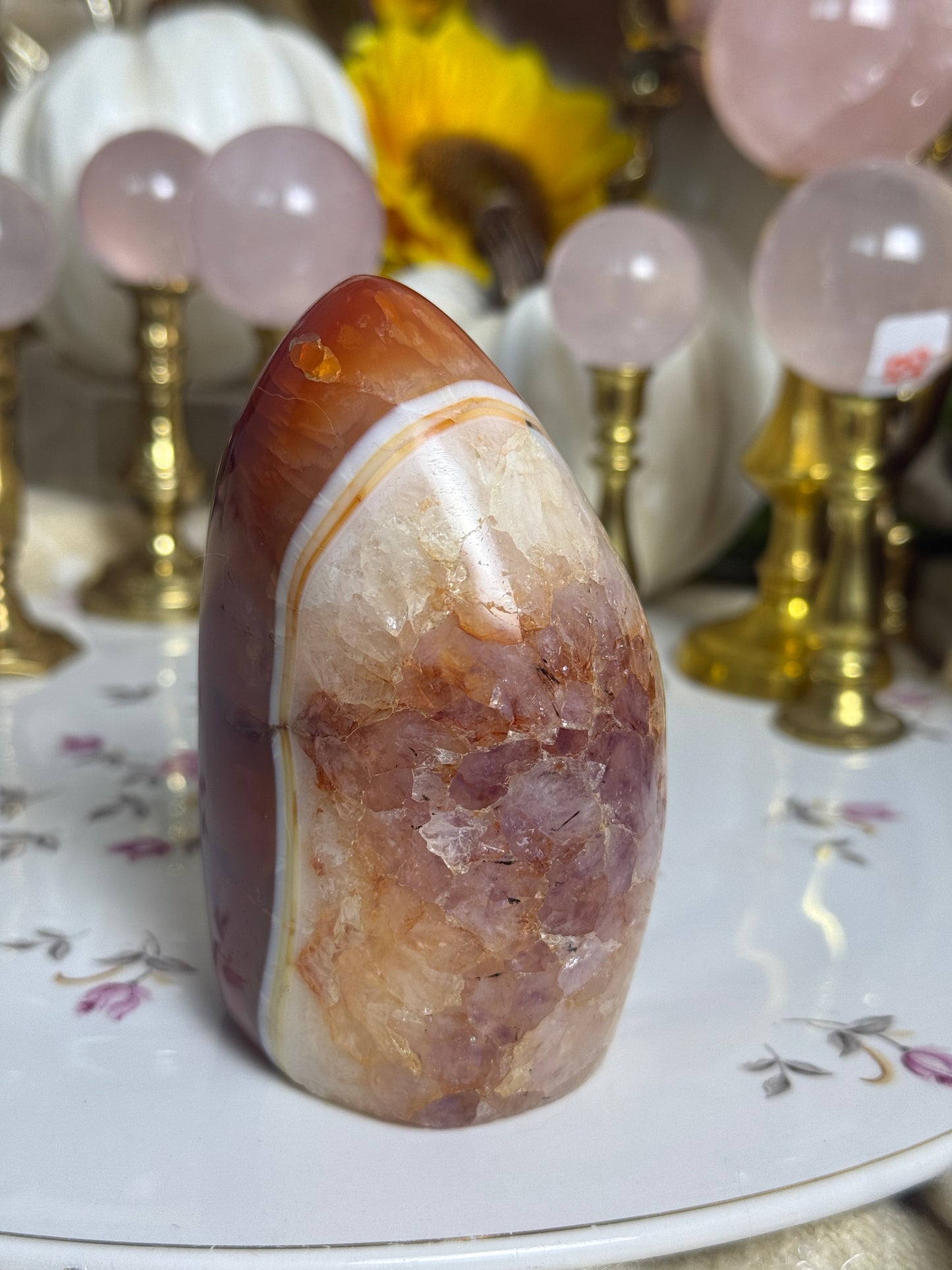 Gorgeous One of a Kind Amethyst Included Carnelian Freeform