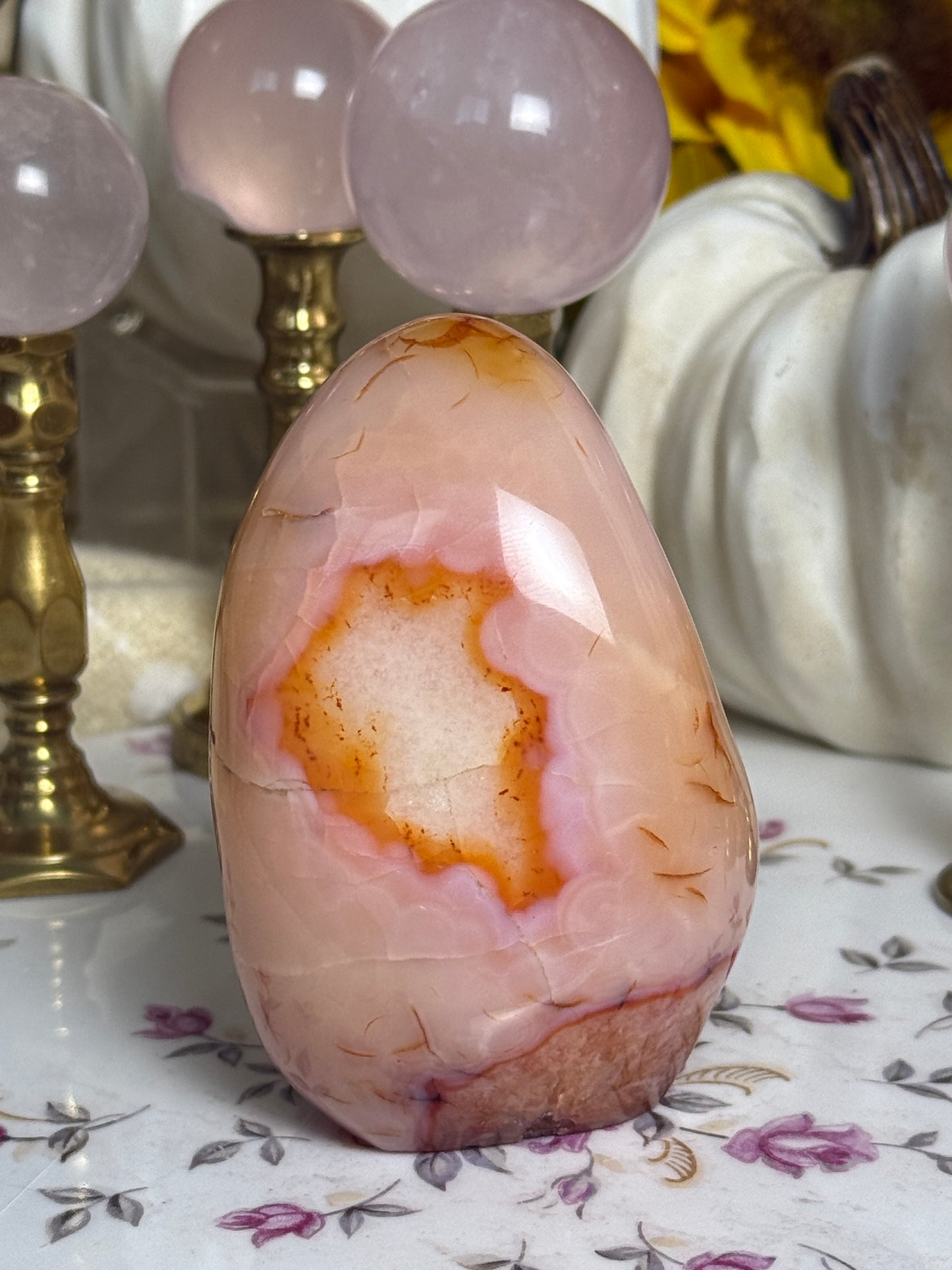 Plush Peach Pink Orby Carnelian Freeform