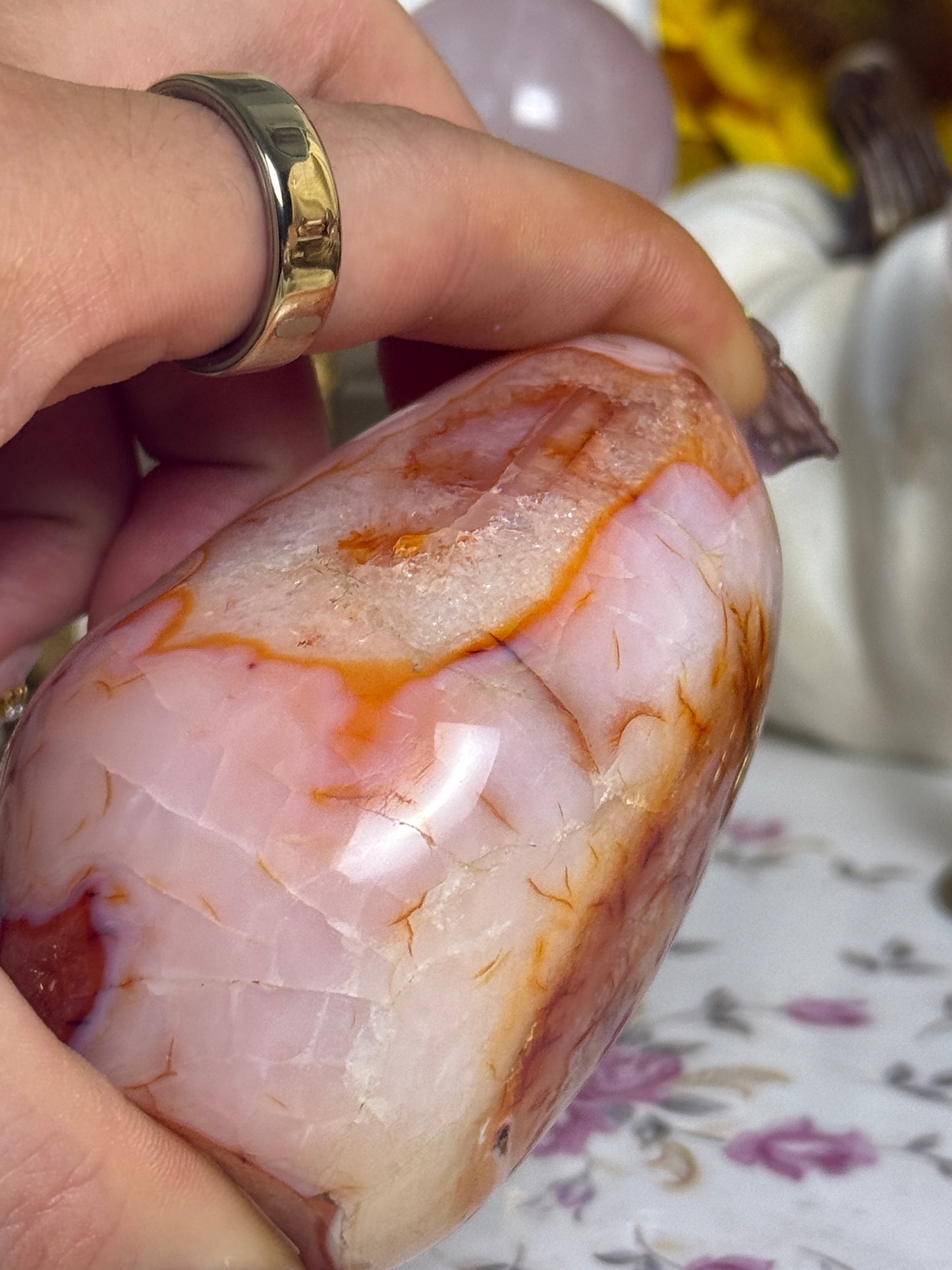Plush Peach Pink Orby Carnelian Freeform