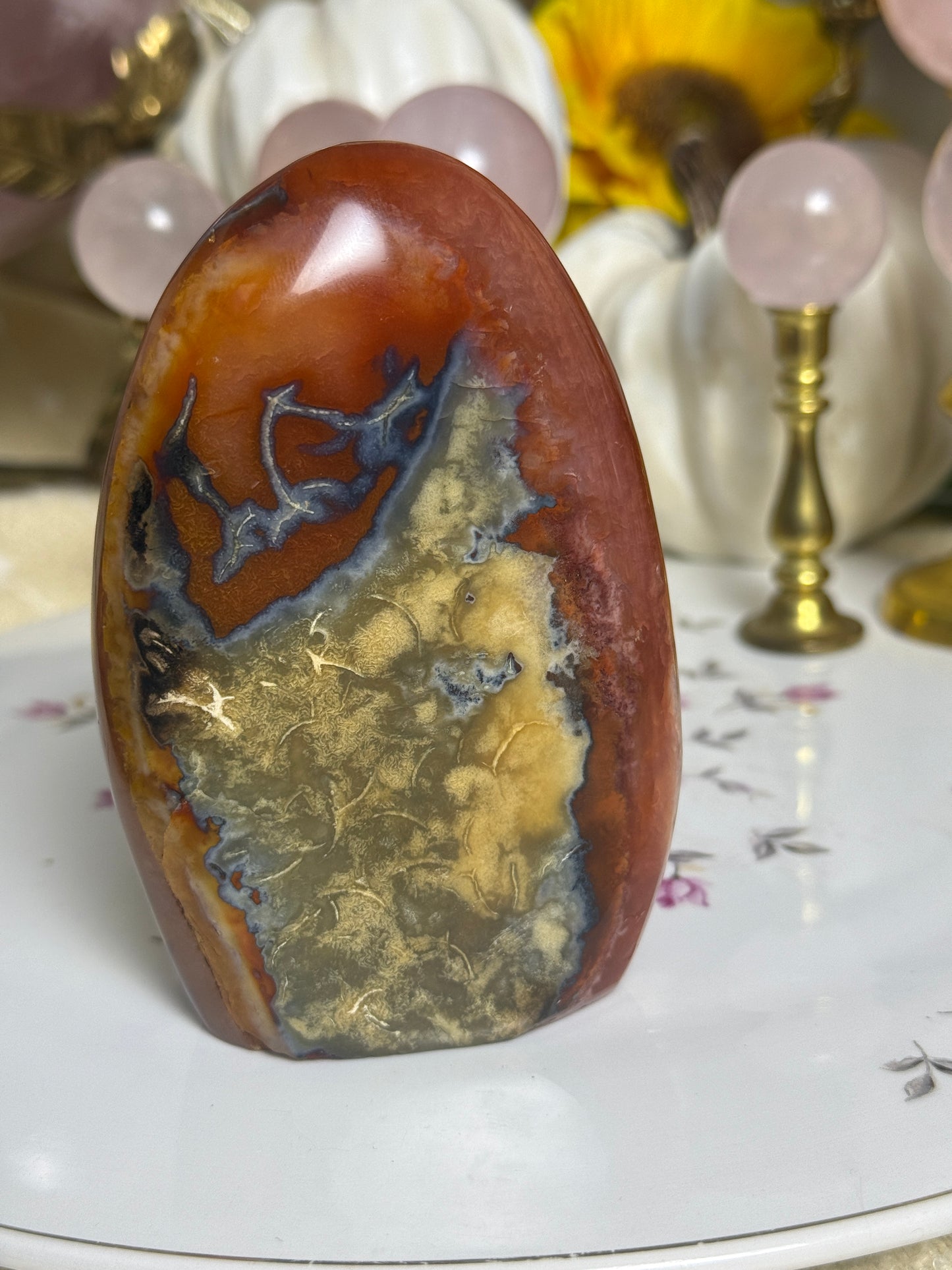Metal Banded Duo Toned Carnelian Freeform