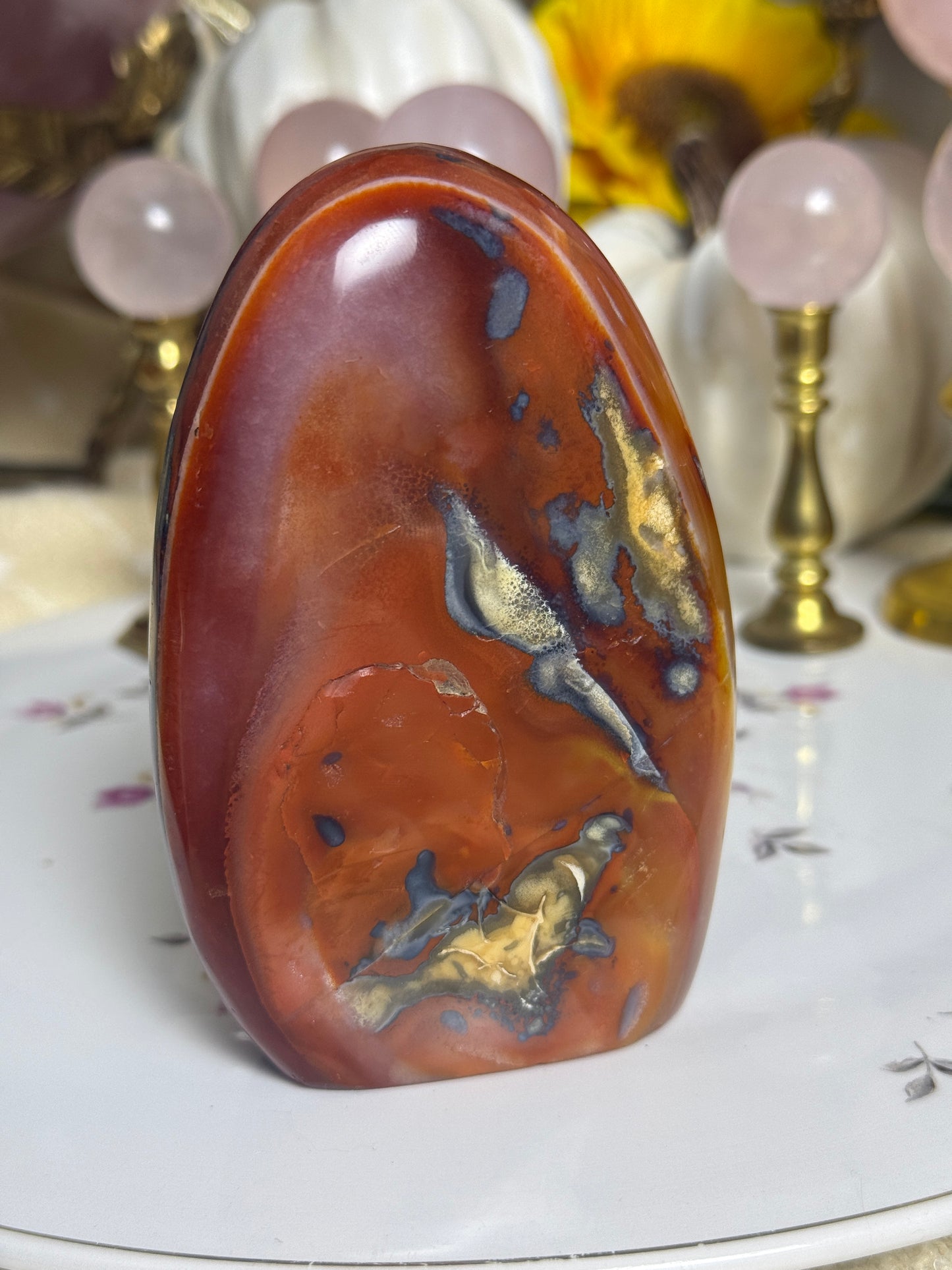 Metal Banded Duo Toned Carnelian Freeform