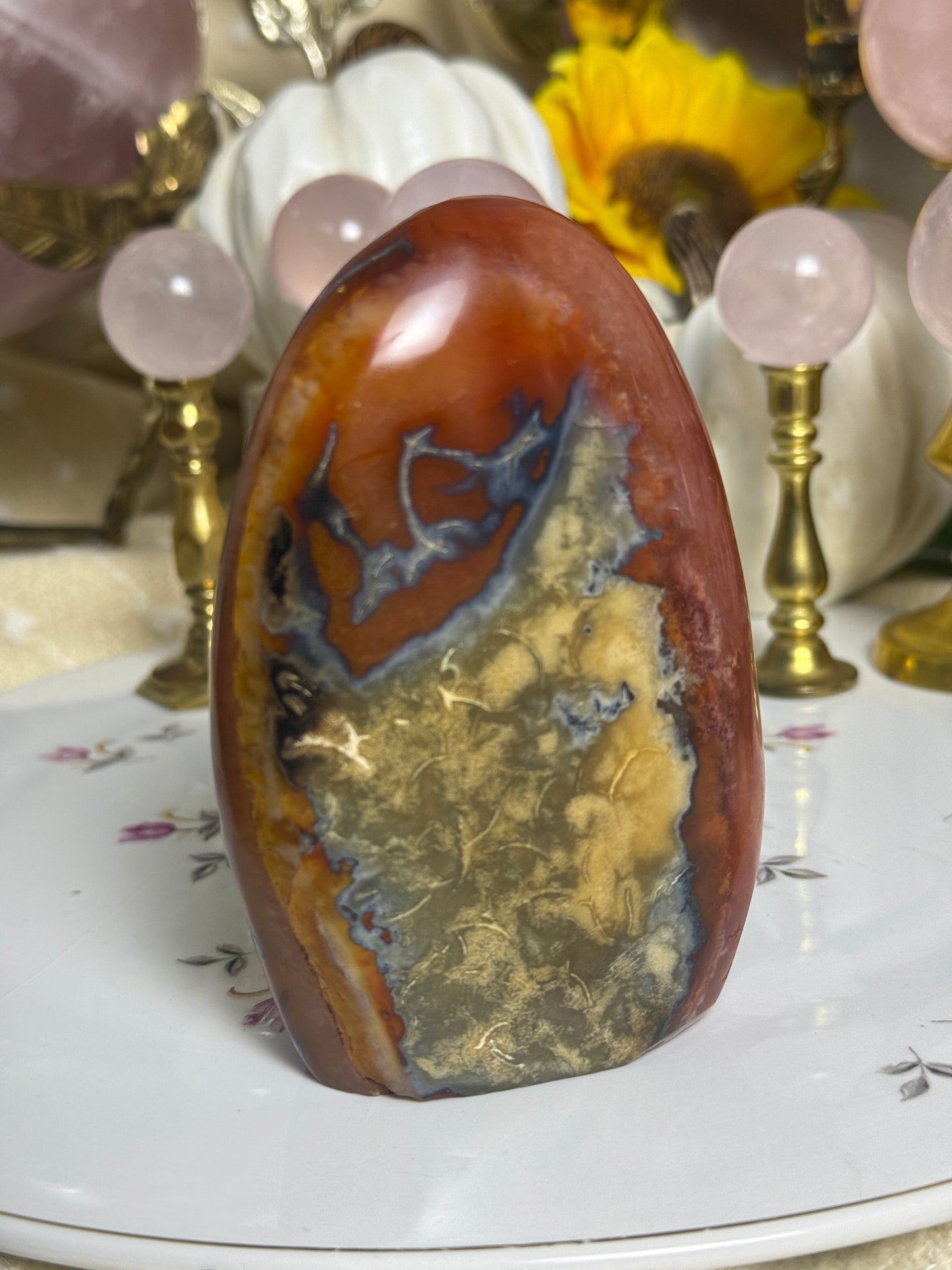 Metal Banded Duo Toned Carnelian Freeform