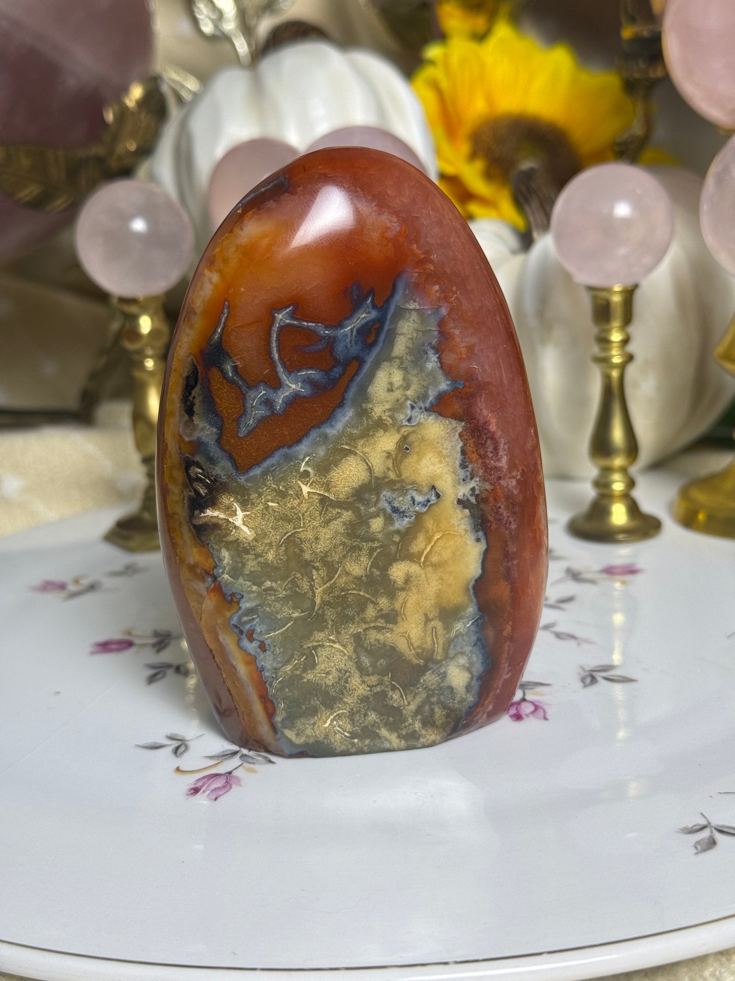 Metal Banded Duo Toned Carnelian Freeform