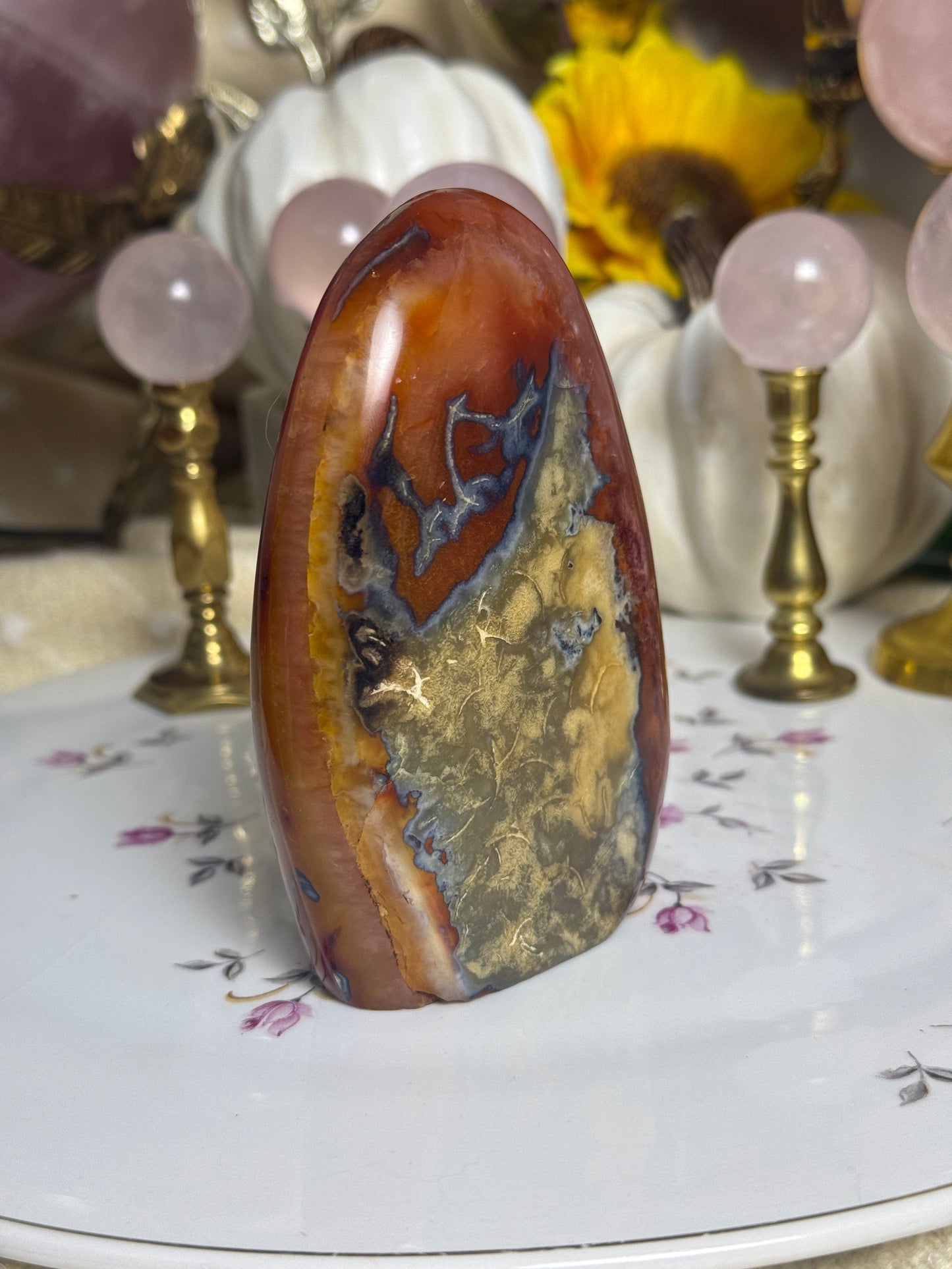 Metal Banded Duo Toned Carnelian Freeform