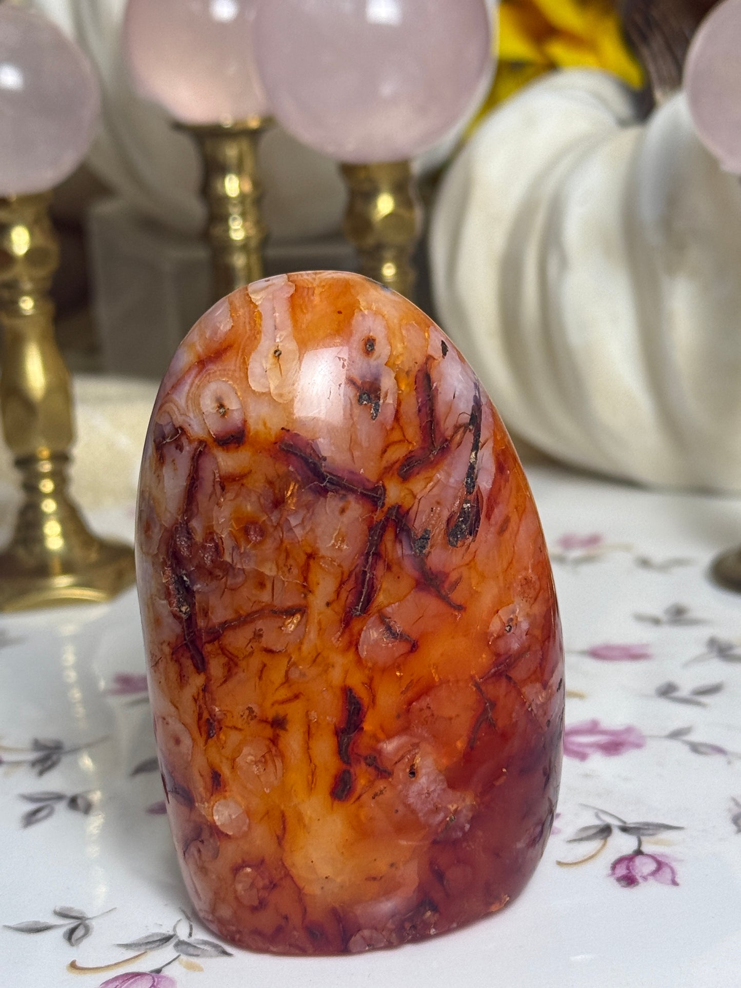 Glowing Moss Agate Included Peachy Carnelian Freeform