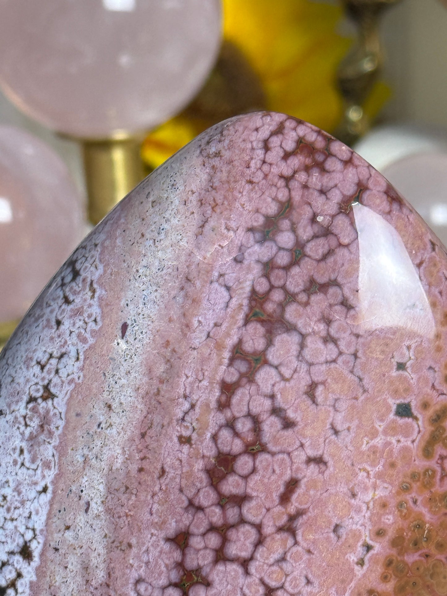Chocolate Strawberry Orby Sea Jasper Freeform🍓🍫