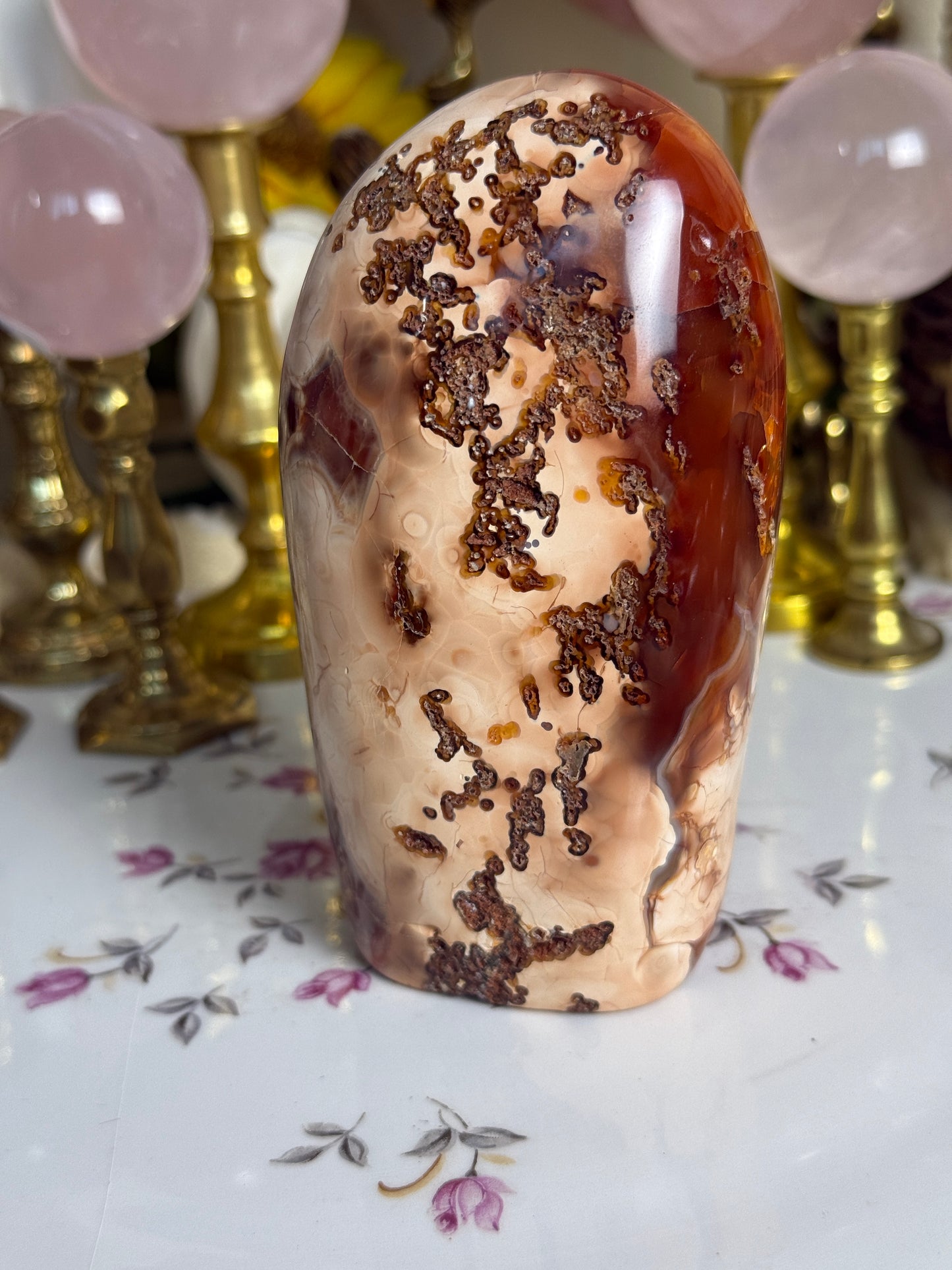 Insane Large Banded Carnelian Freeform