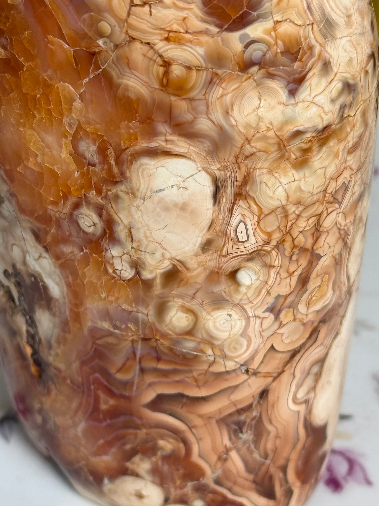 Insane Large Banded Carnelian Freeform