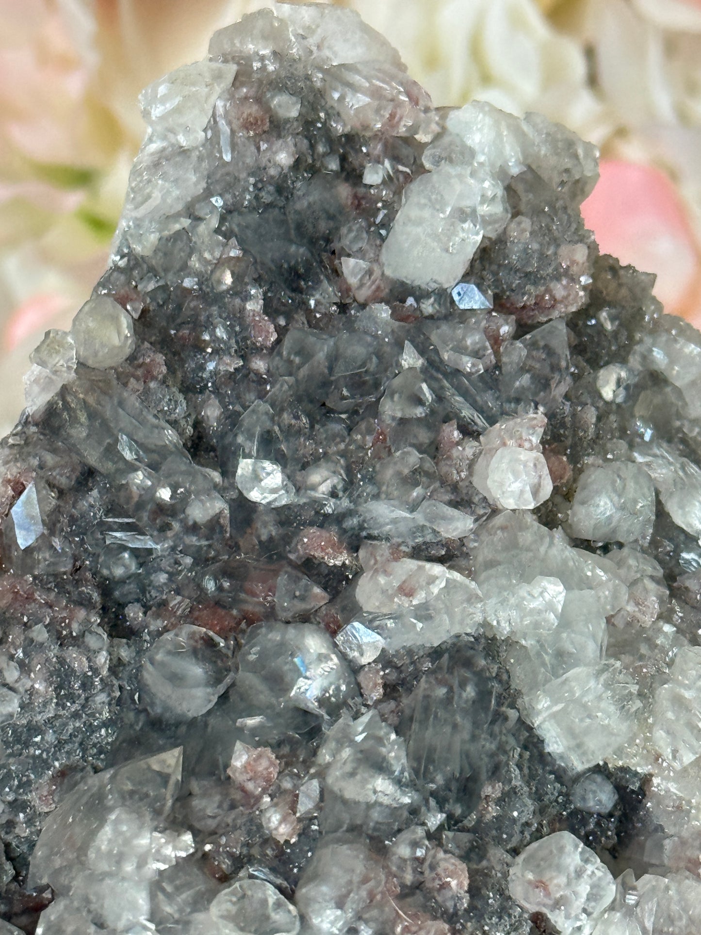 Dazzling Grey  Chalcedony Apothyllite Speciman ✨😍