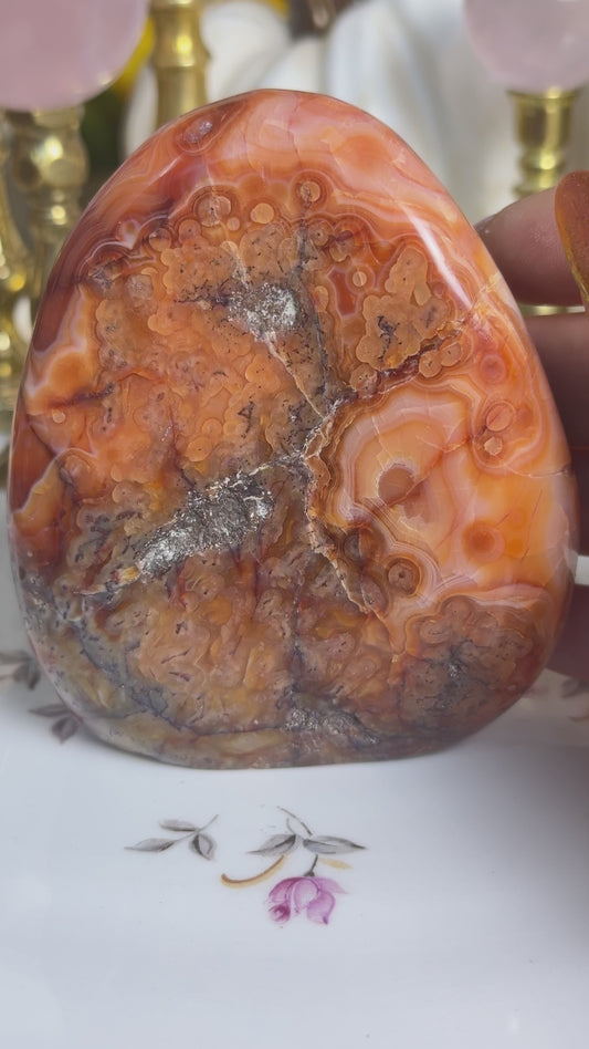 Groovy Banded Swirly Agate Coral Carnelian Freeform